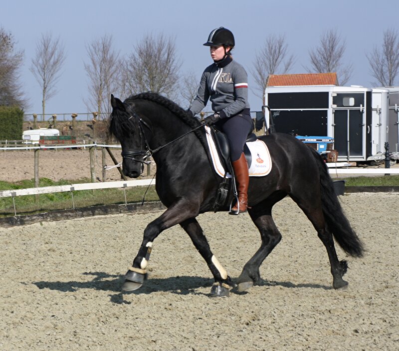 Afbeelding