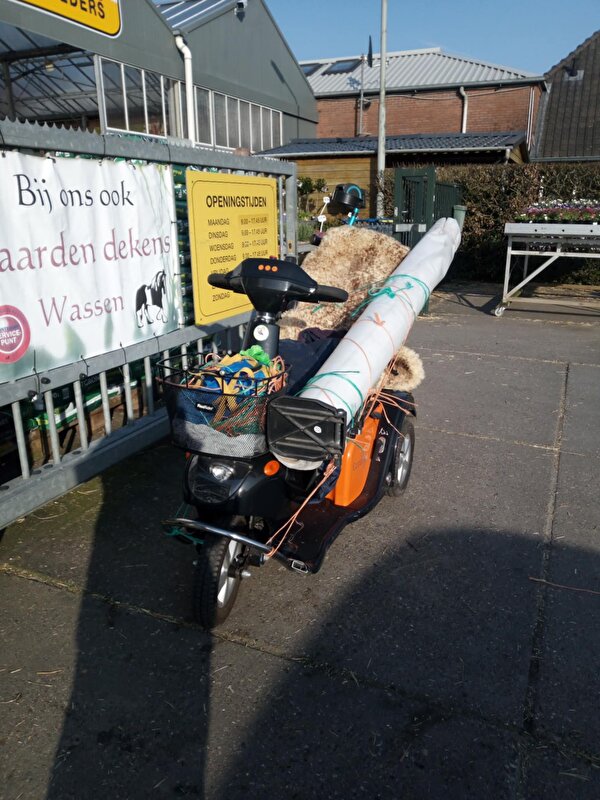 Afbeelding