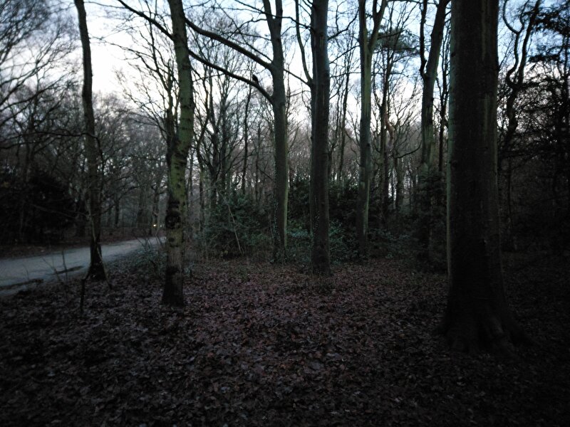 Afbeelding