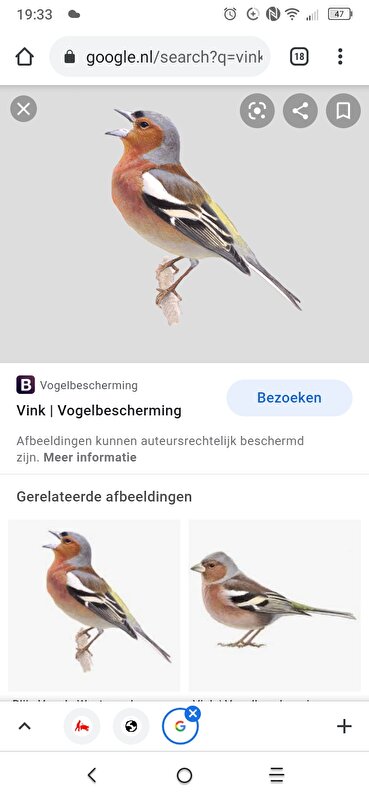 Afbeelding