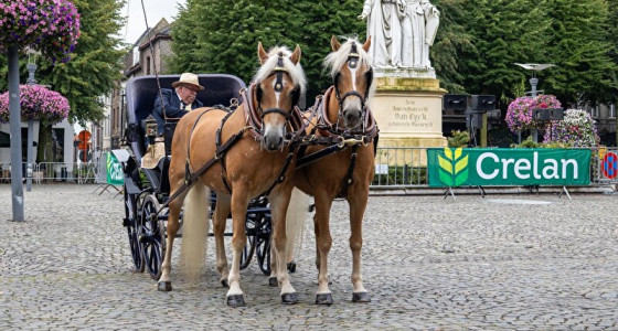 ITP - Historische Koetsenparade