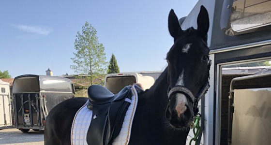 [PG]: Maria De Montserrat (Toto jr x Bretton Woods x Zeoliet)