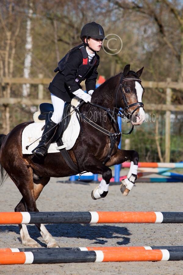 Super B-pony Te Koop - Kinderpony - Sportpony | Bokt.nl