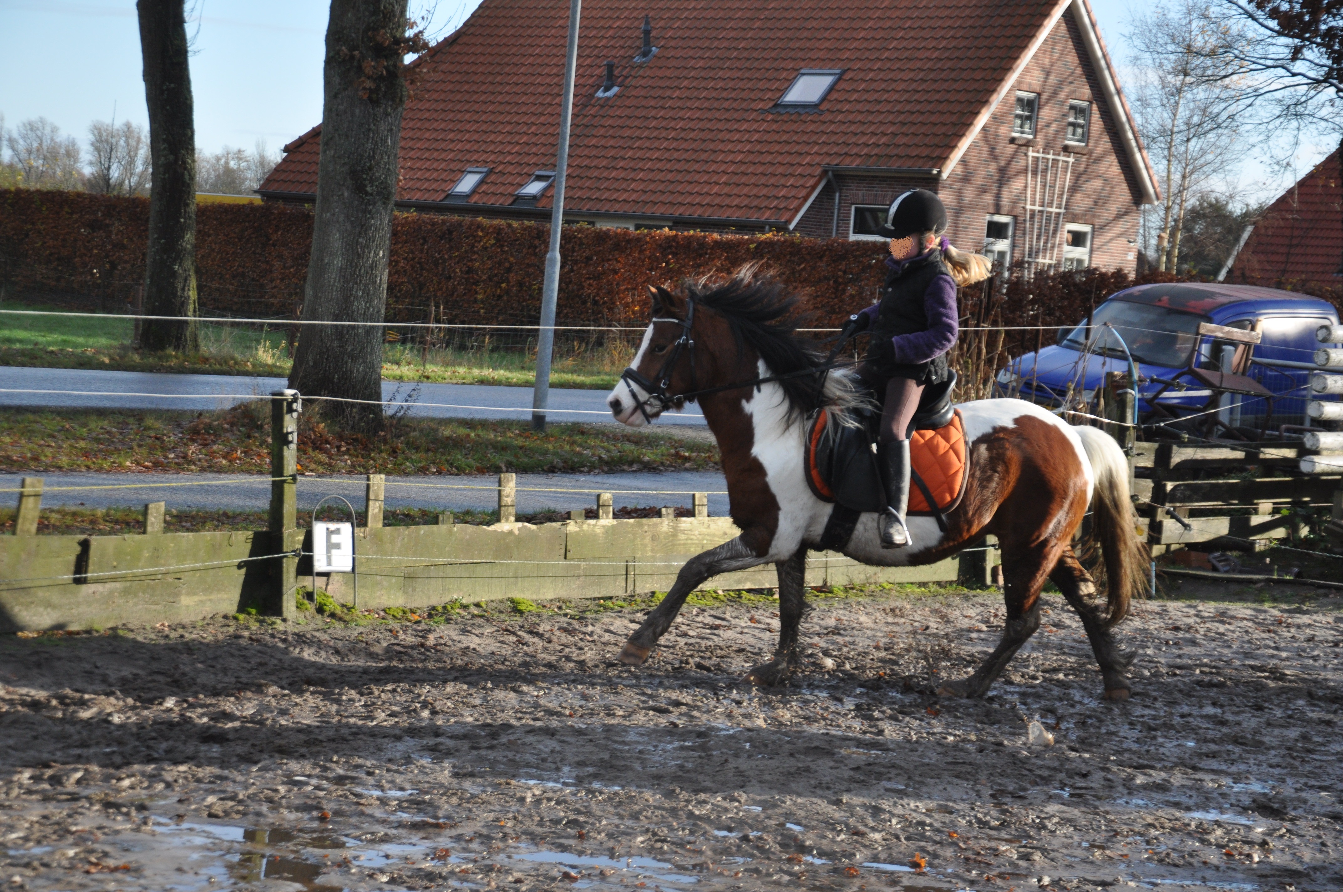 Leuke Lease Pony Incl. Rijlessen | Bokt.nl