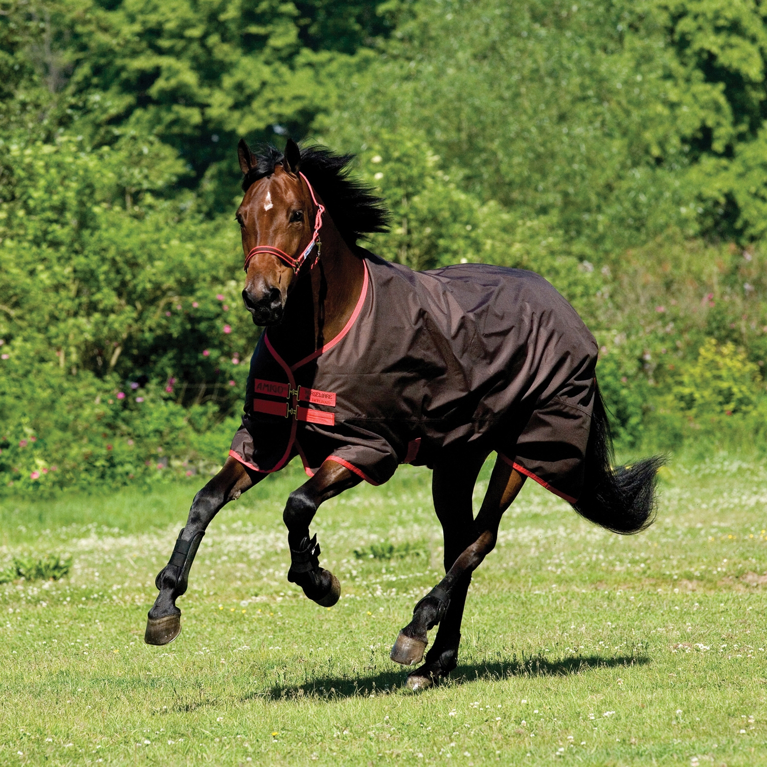 Amigo lite 0 gram regendeken 6.0 Bokt.nl