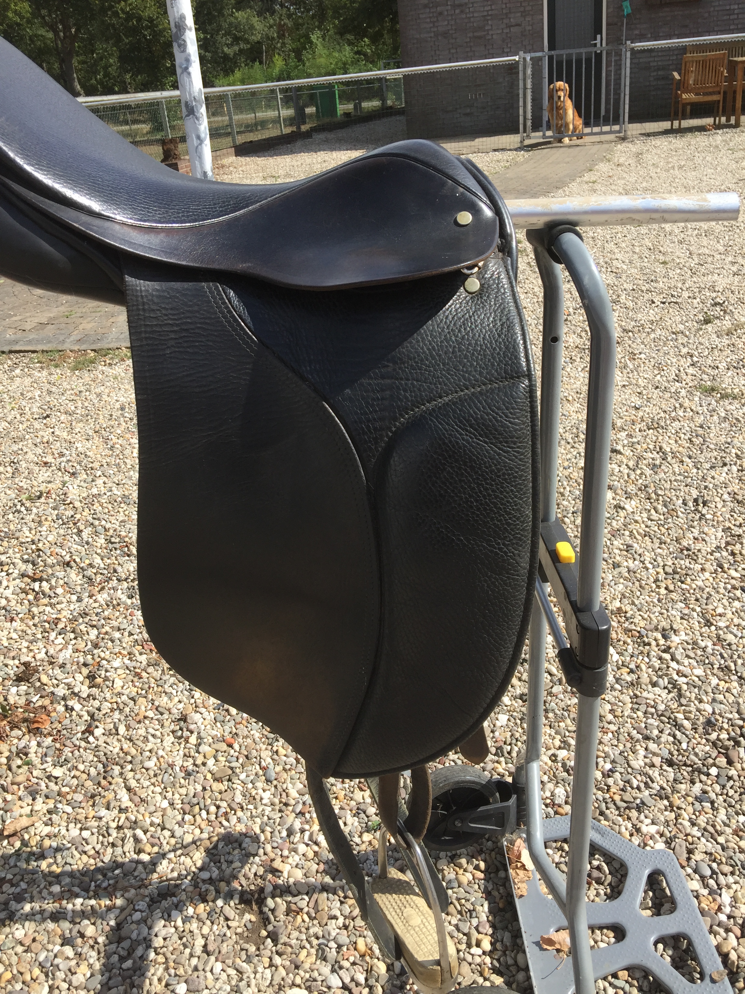 engels zadel Bokt.nl