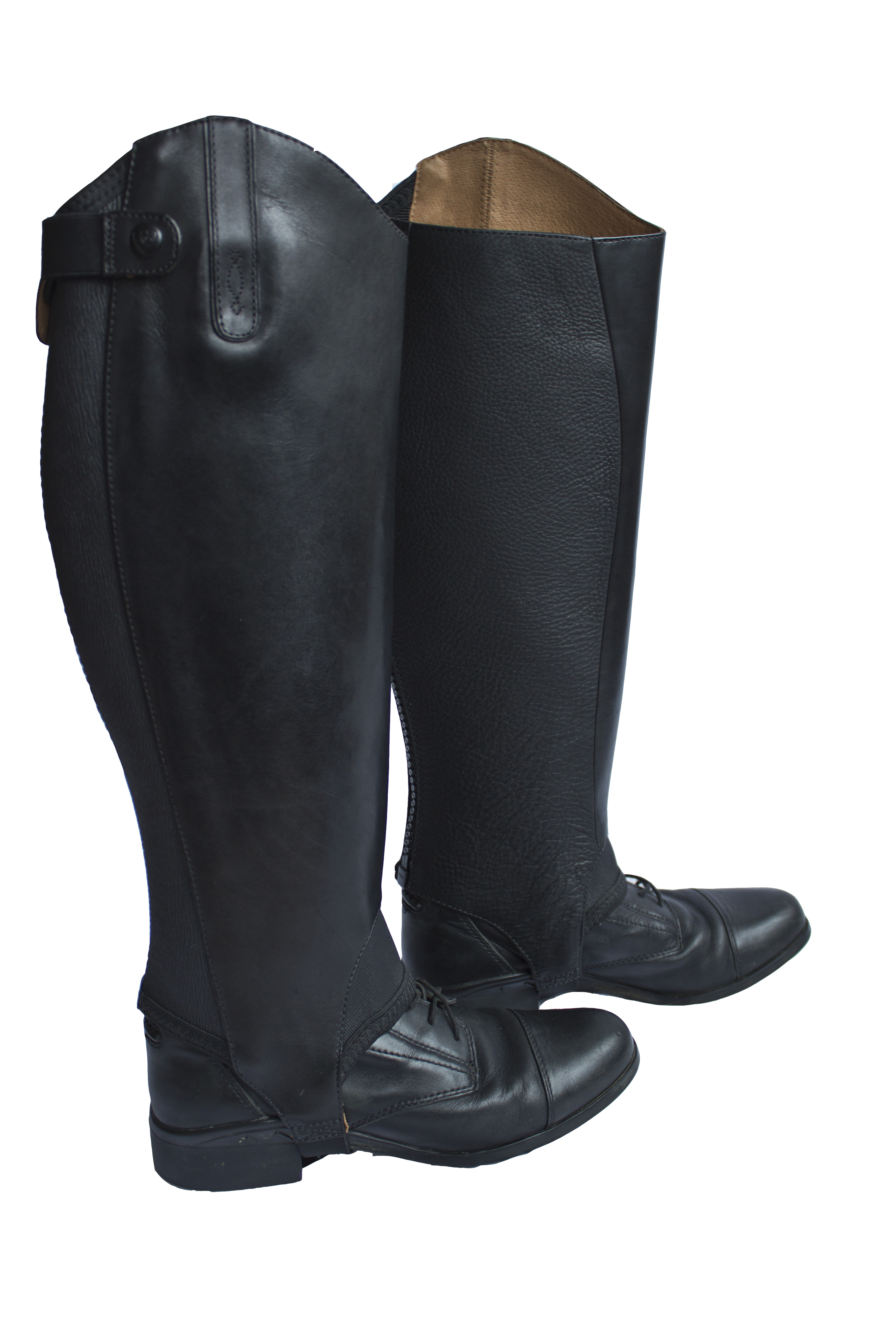 ariat covington chaps