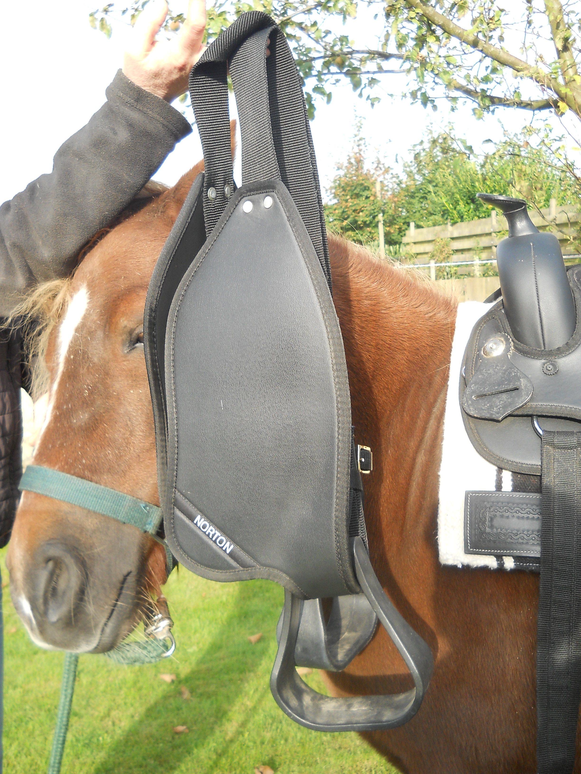 Vind westernzadel in Paarden en Pony's