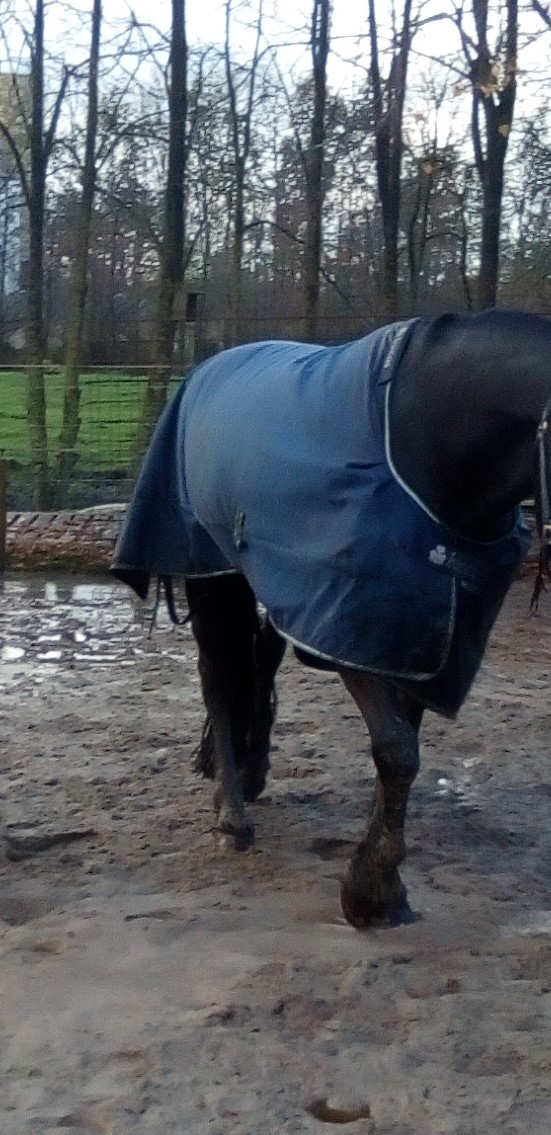 Bucas deken met los halsstuk Bokt.nl