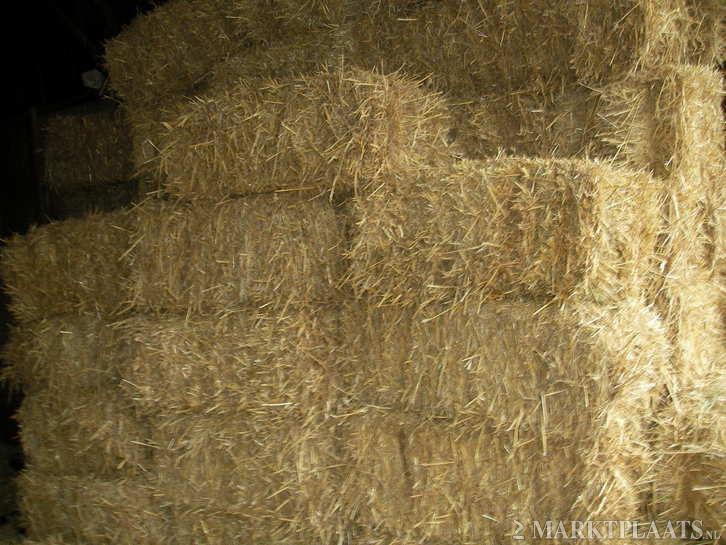 Hooi en Stro te koop in cromvoirt ( NB ) Bokt.nl Hooi en Stro te koop in cromvoirt ( NB ) Bokt.nl