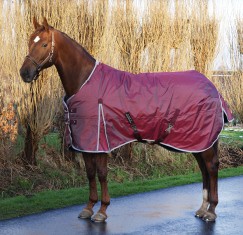 koper afdrijven Verwisselbaar Anky winterdeken 360 grams deken met cooldry voering NIEUW | Bokt.nl
