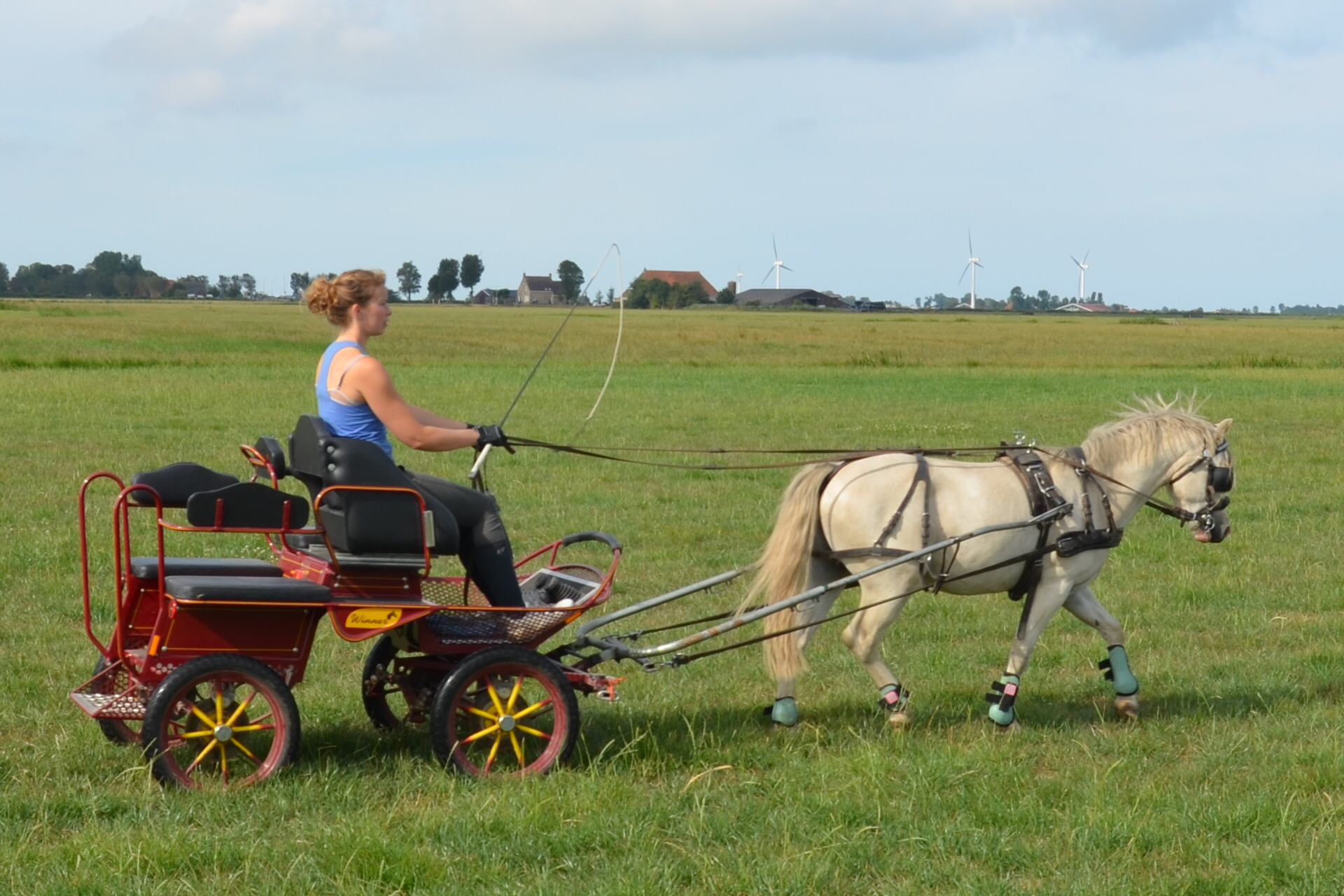 Uw A/B pony paardvriendelijk laten betuigen voor de wagen? | Bokt.nl