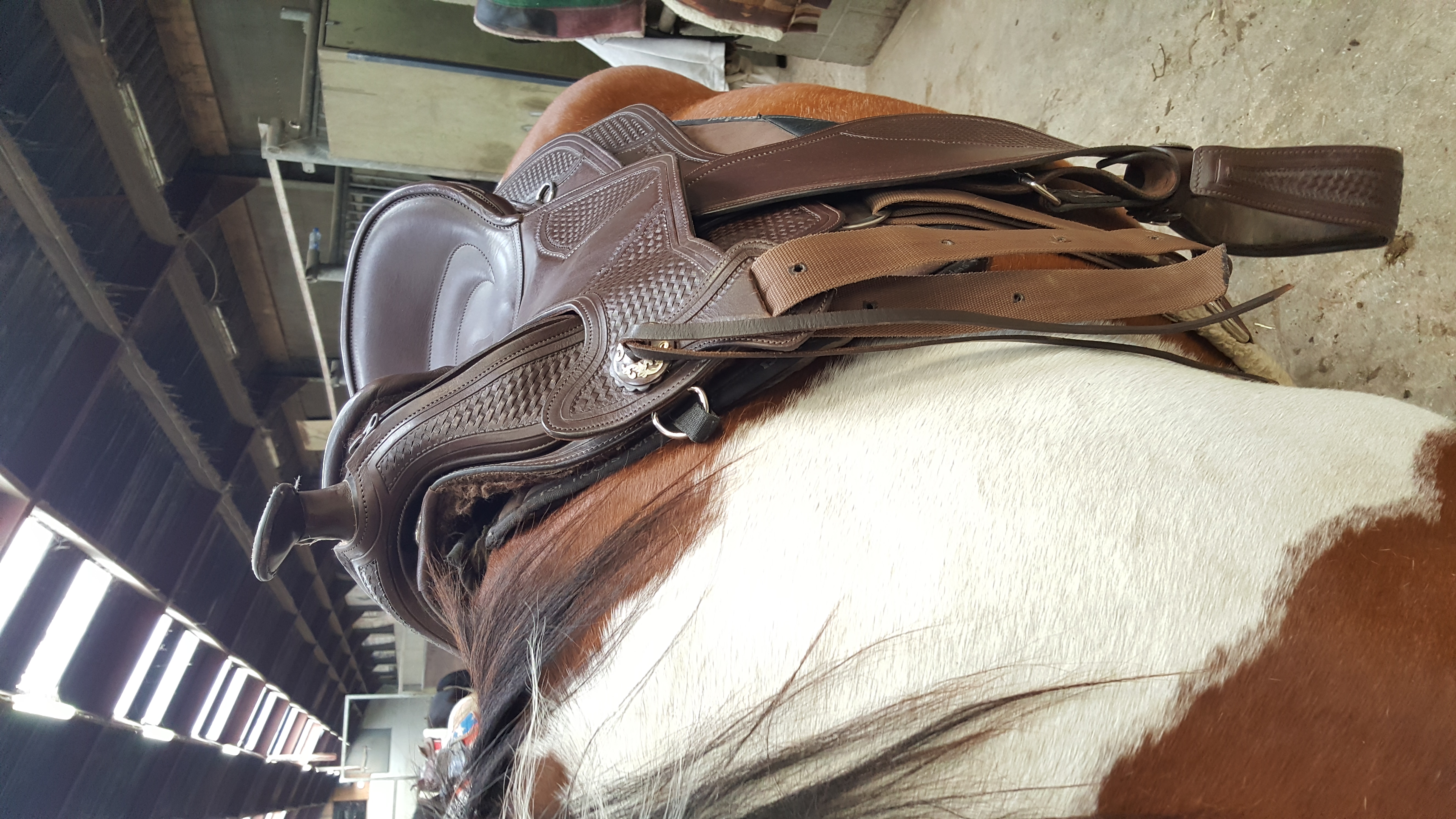 Barefoot Arizona Nut Bokt.nl