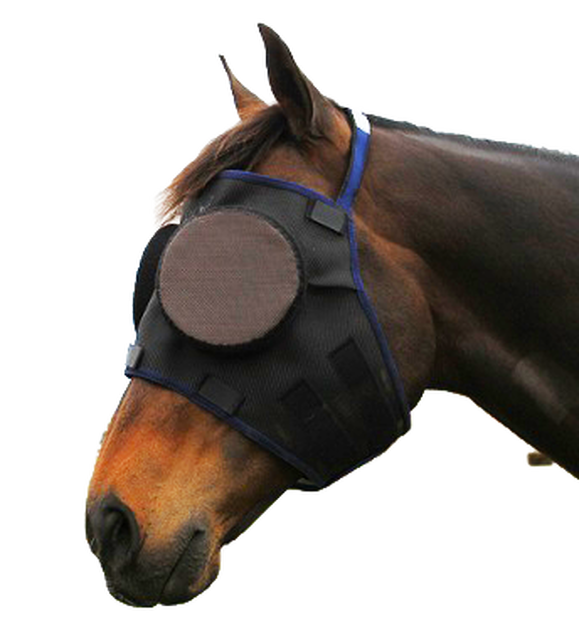 Te koop nieuw Guardian Horse Mask Bokt.nl