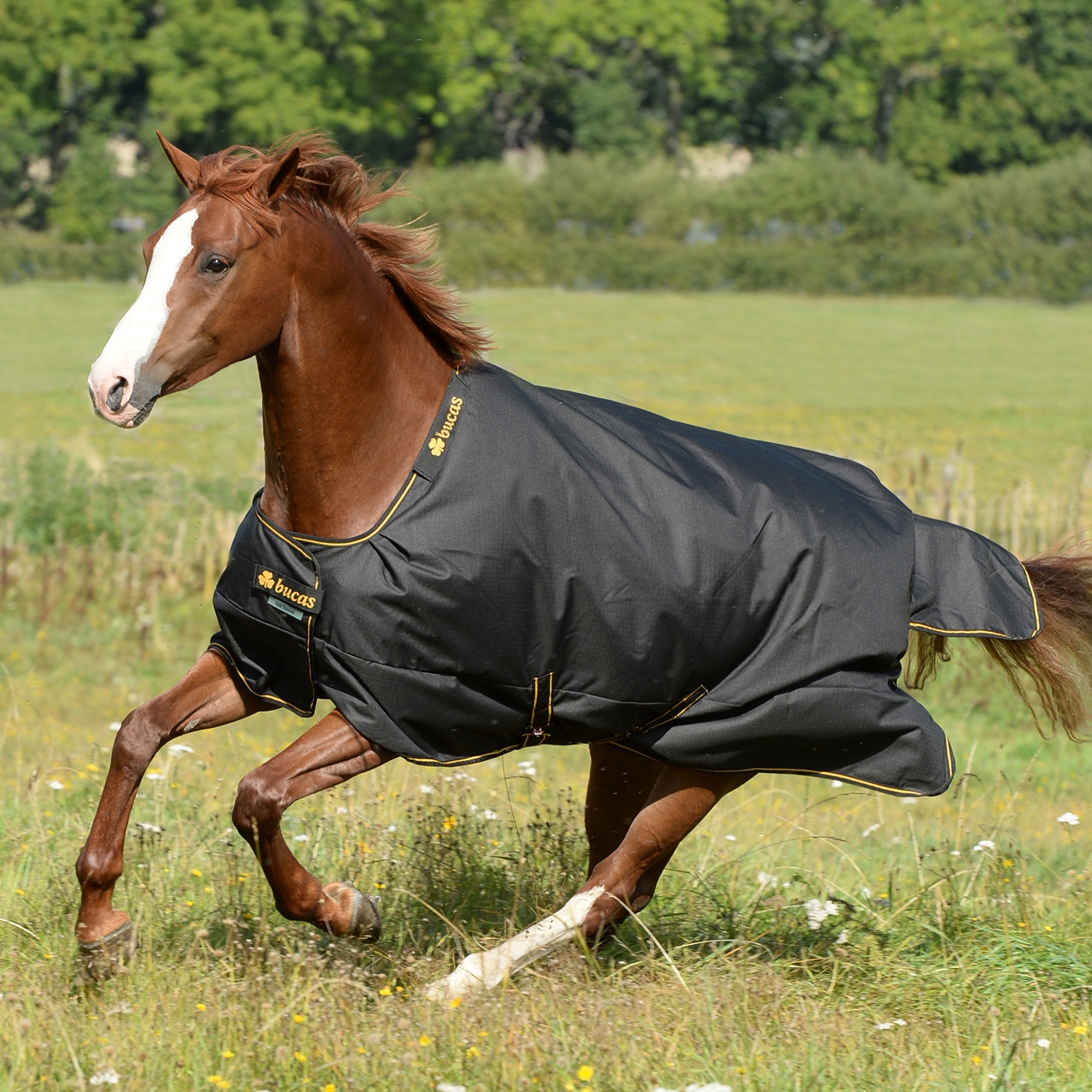 Deken Bucas 50 gram inclusief hals 0 gram maat 190 cm zwart Bokt.nl