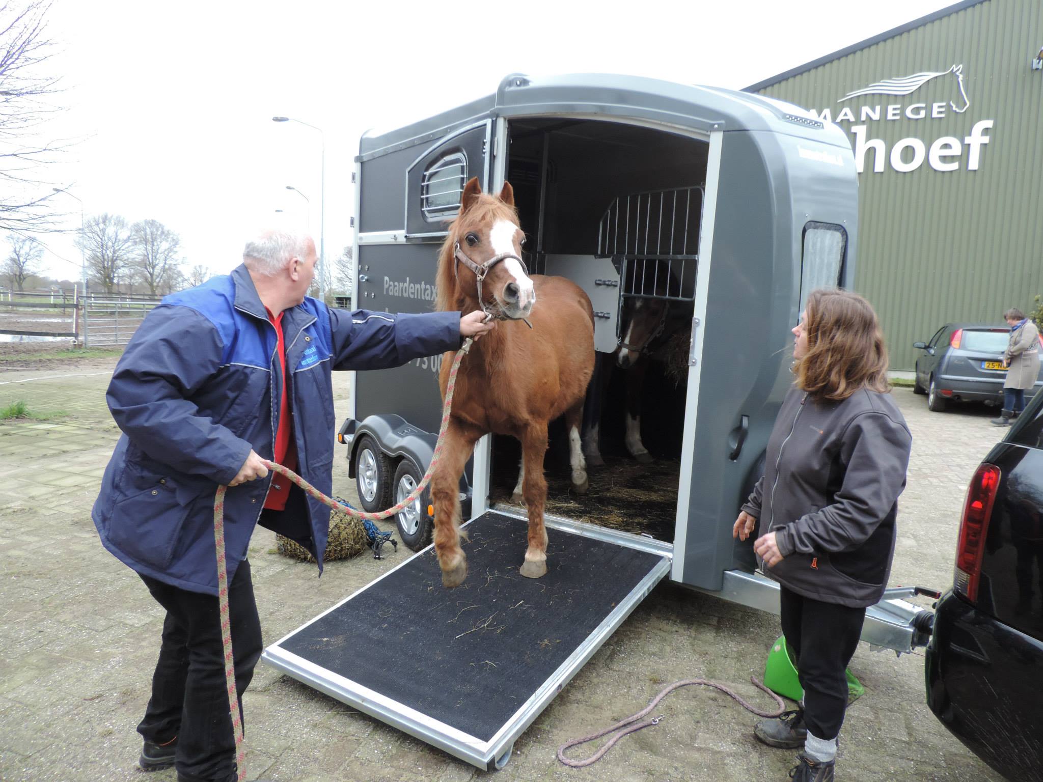 Paardentaxi-Amsterdam Veiligheid Gaat Boven Alles | Bokt.nl