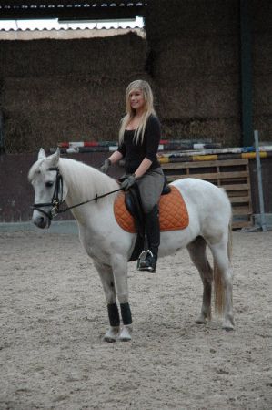 Guinness Grafiek Nauw Lieve witte C-pony te koop | Bokt.nl