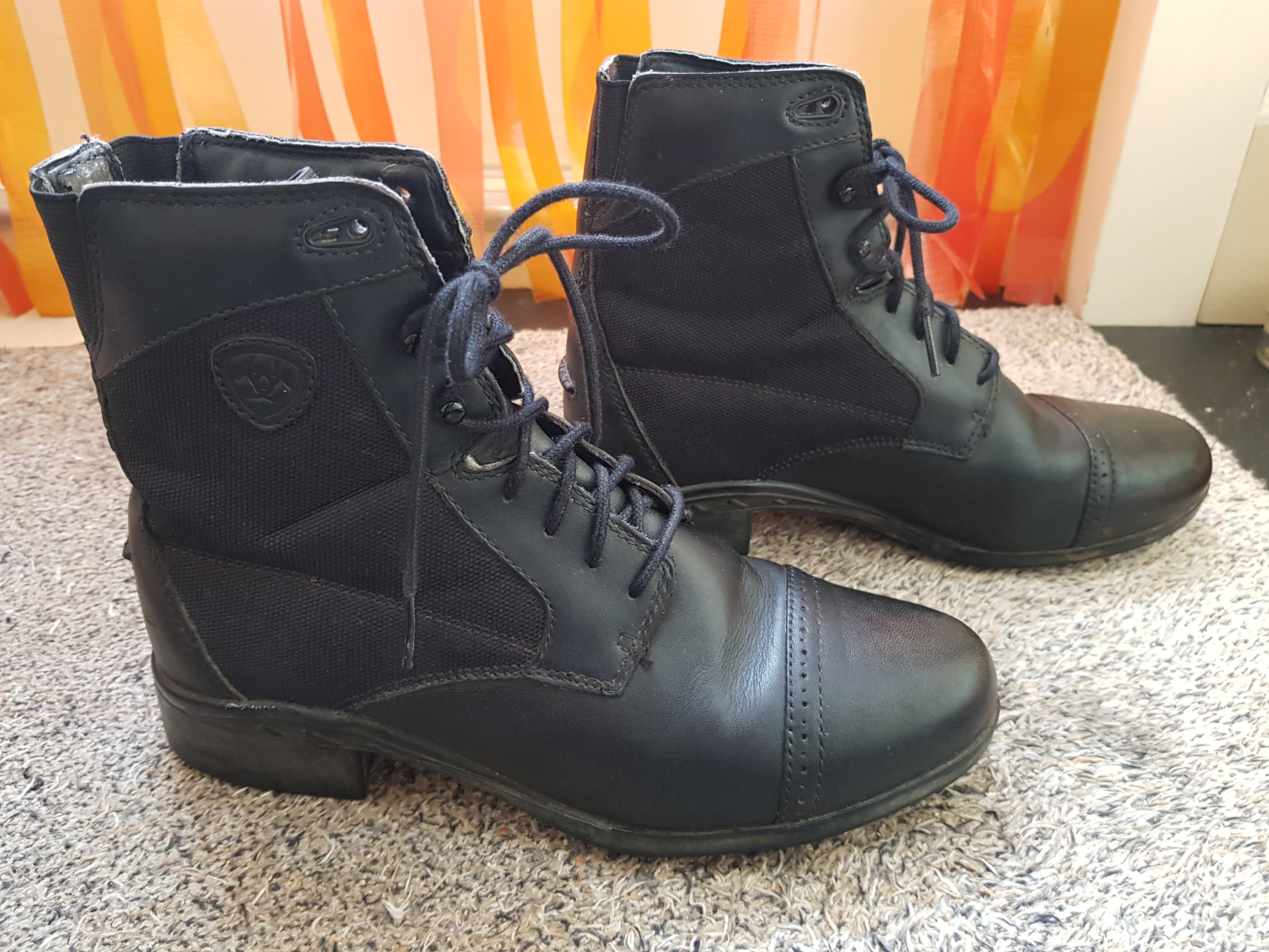 ariat heritage lace