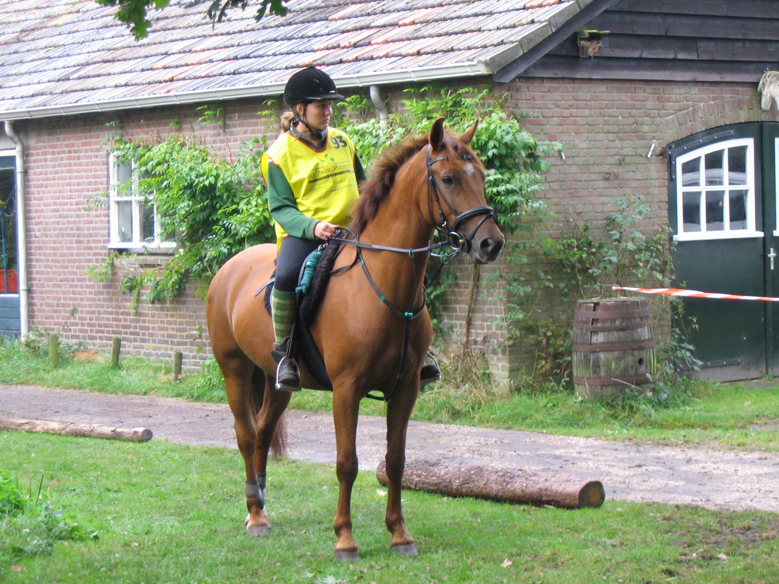 Word gek rukken Productie Brave, lieve recreatie E-pony te koop | Bokt.nl