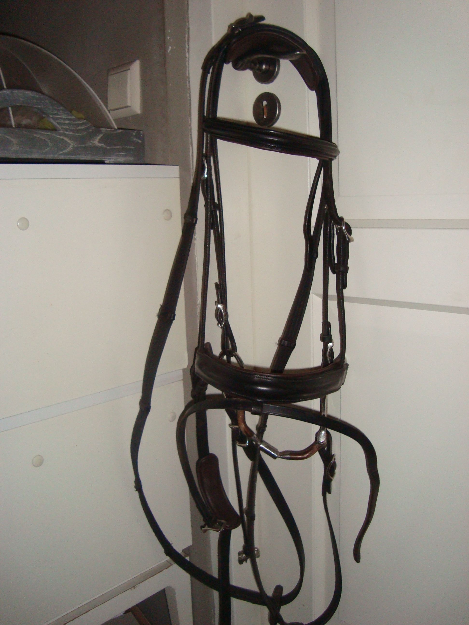 Harry's Horse Switch maat cob Bokt.nl