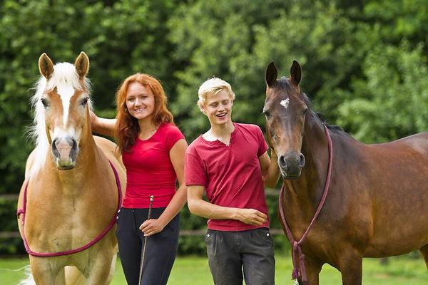 Lesdag Jesse Drent en Eva Roemaat | Bokt.nl