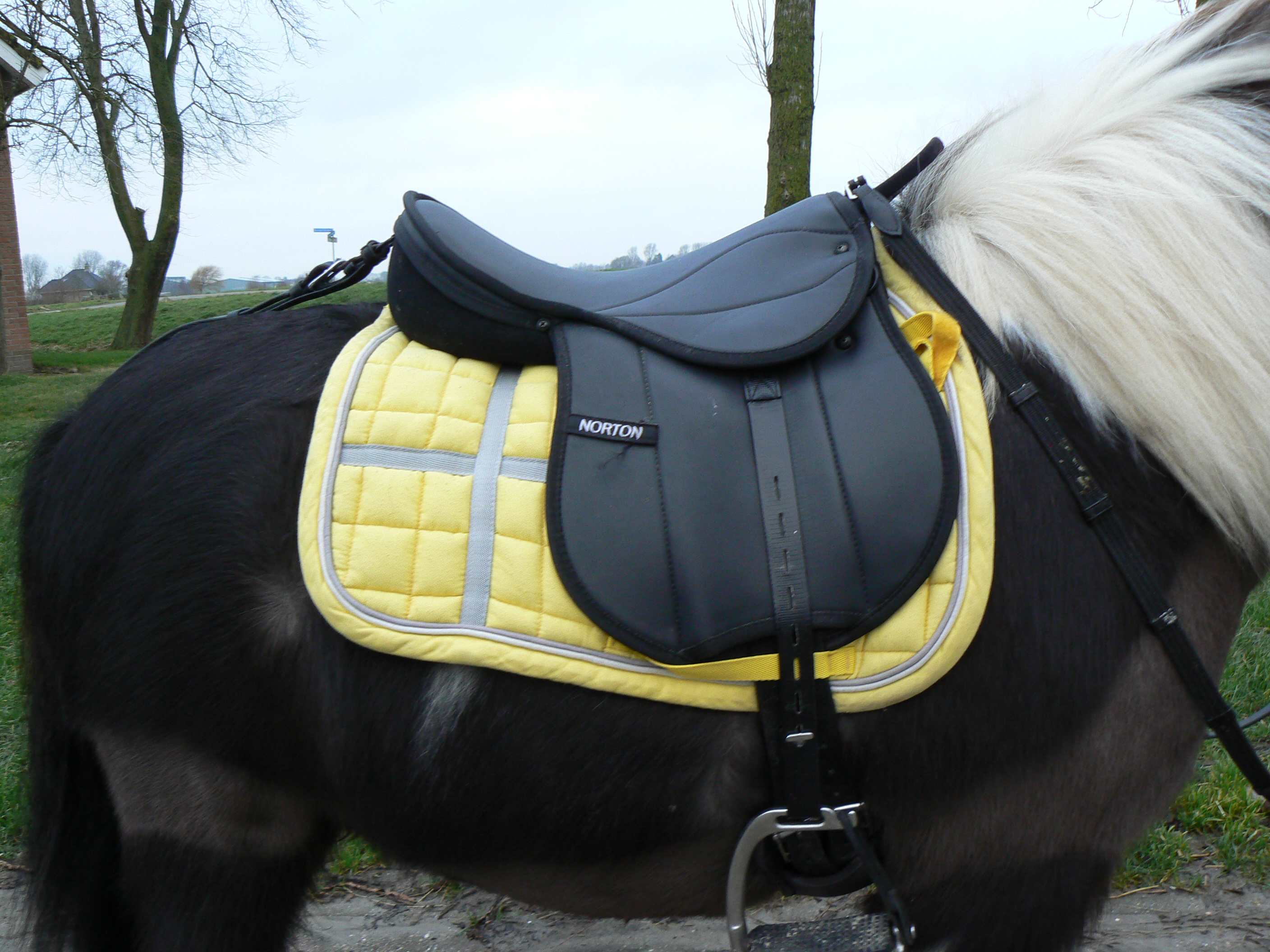 Shetlander norton zadel met een neopreen anatomische singel | Bokt.nl