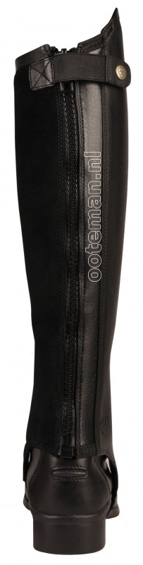 concord chaps