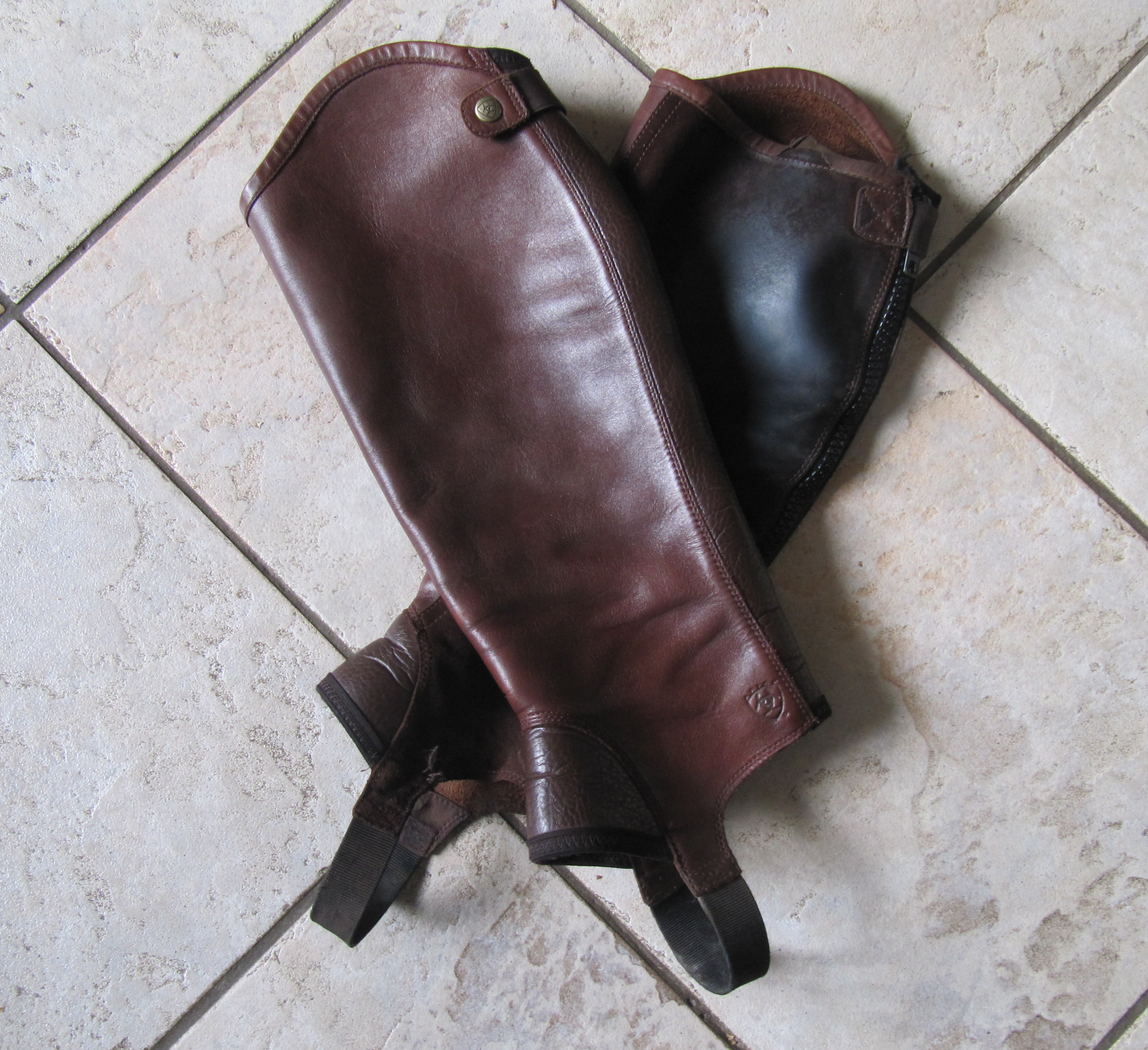 mini chaps ariat