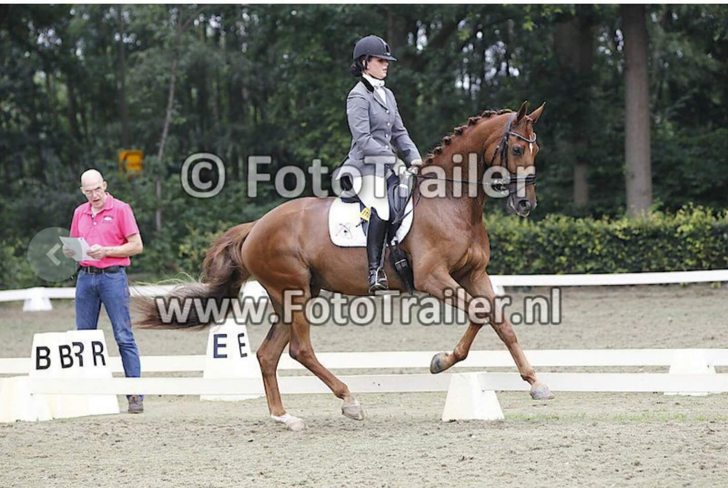 Evita Sue v. Uphill x Gribaldi Z dressuur Bokt.nl