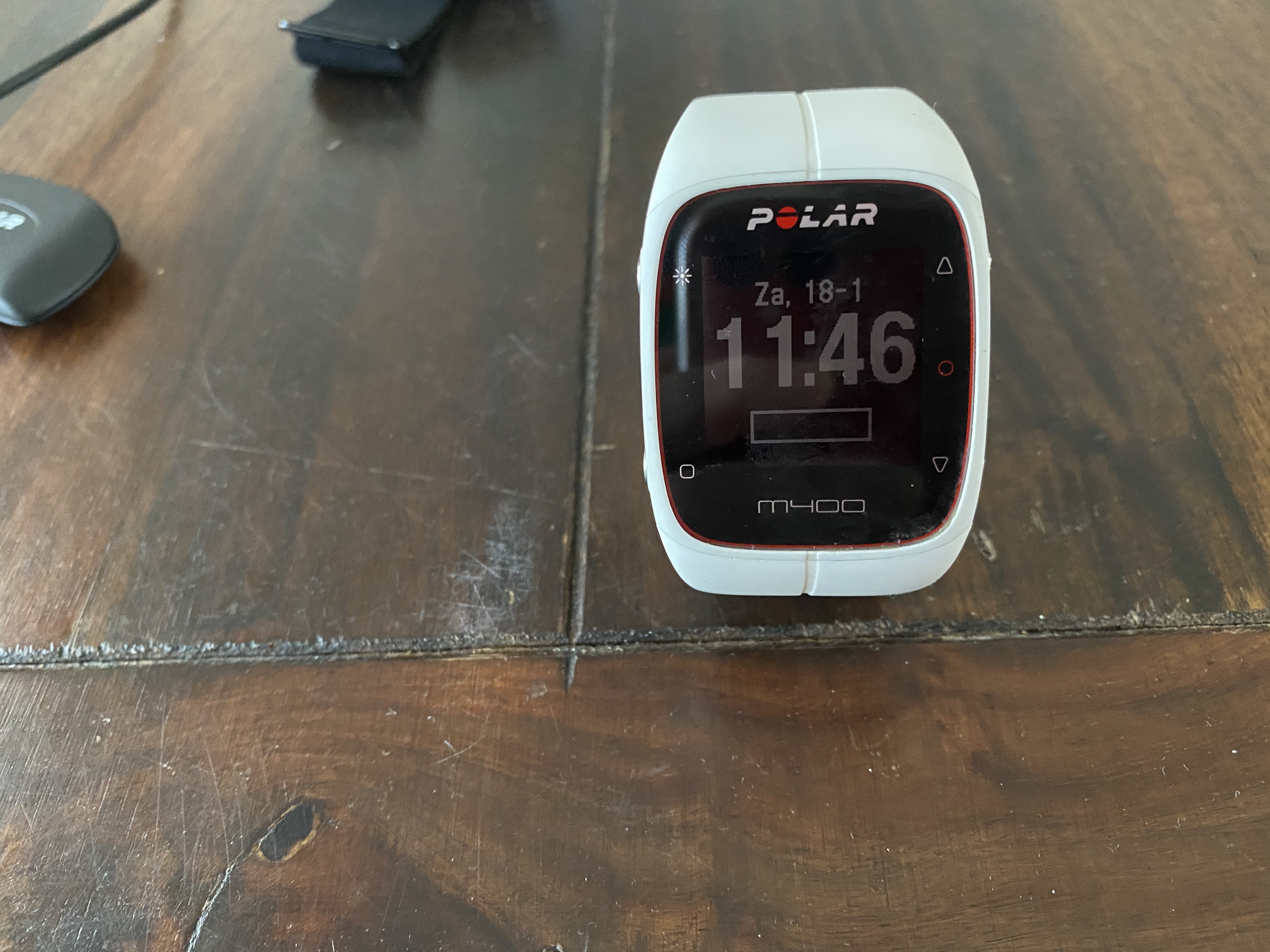 polar equine m400 trotting