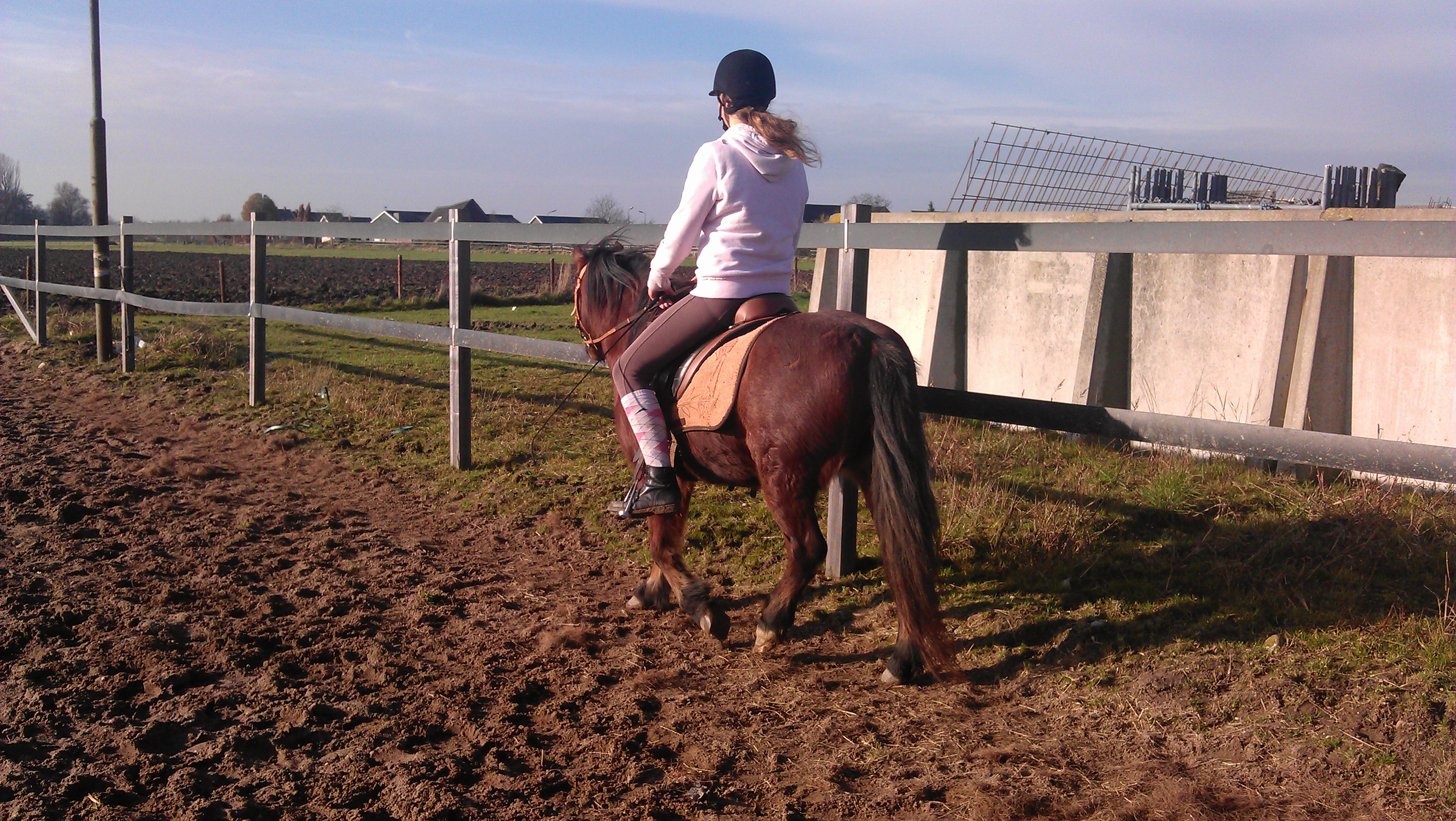 Lieve Dartmoor pony te KOOP! Bokt.nl