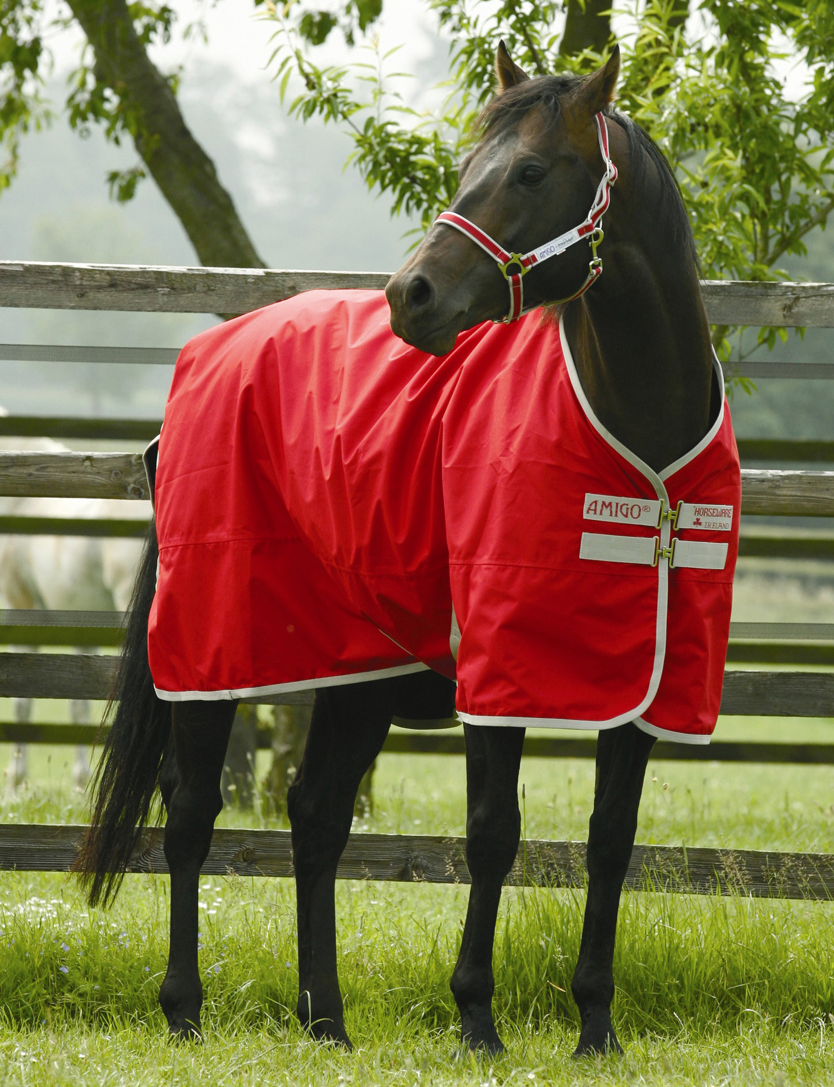 UITVERKOOP regendekens Horseware Ireland Rhino/Amigo Bokt.nl