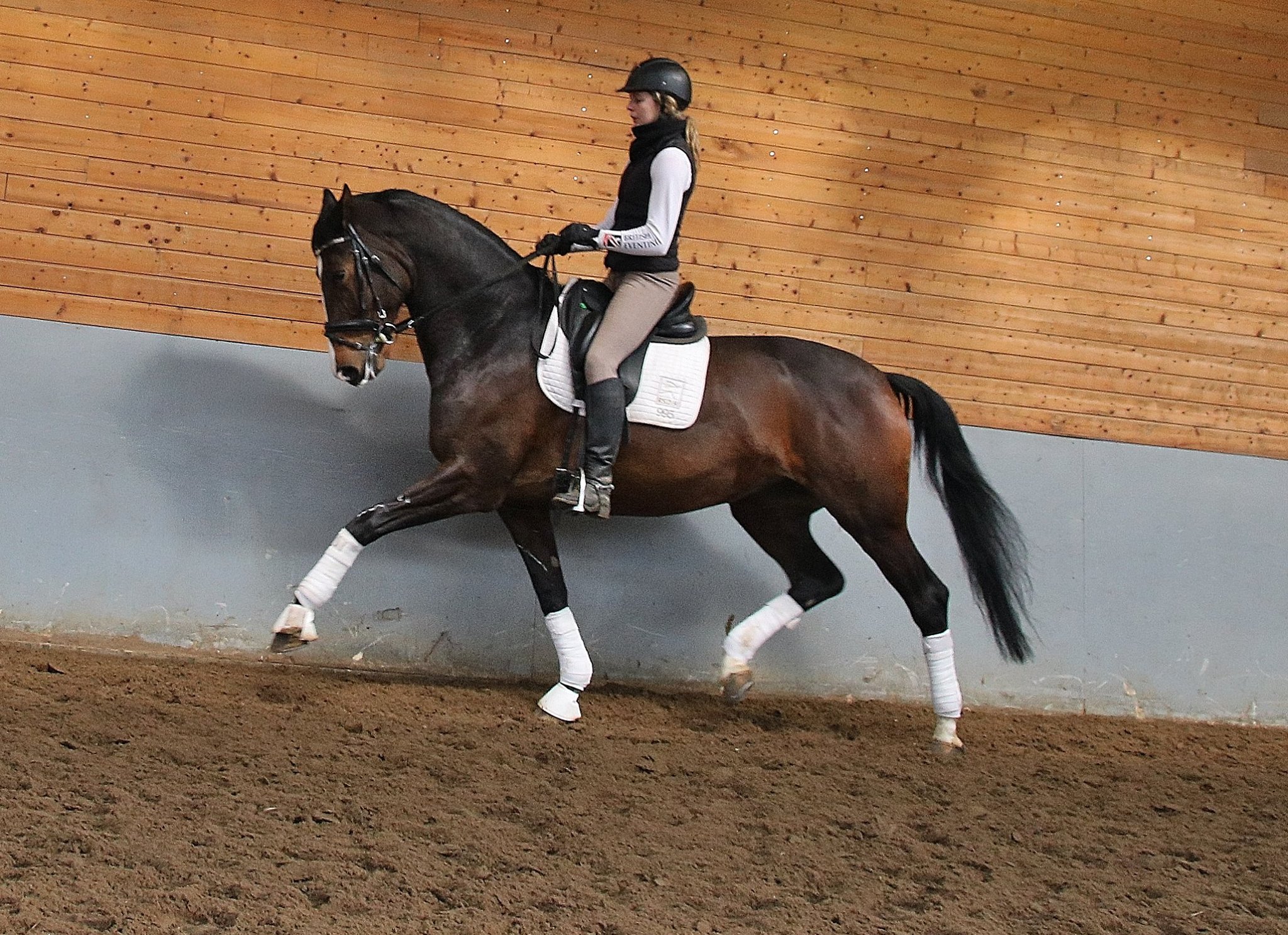 Dressage lessons/ dressuur lessen Bokt.nl