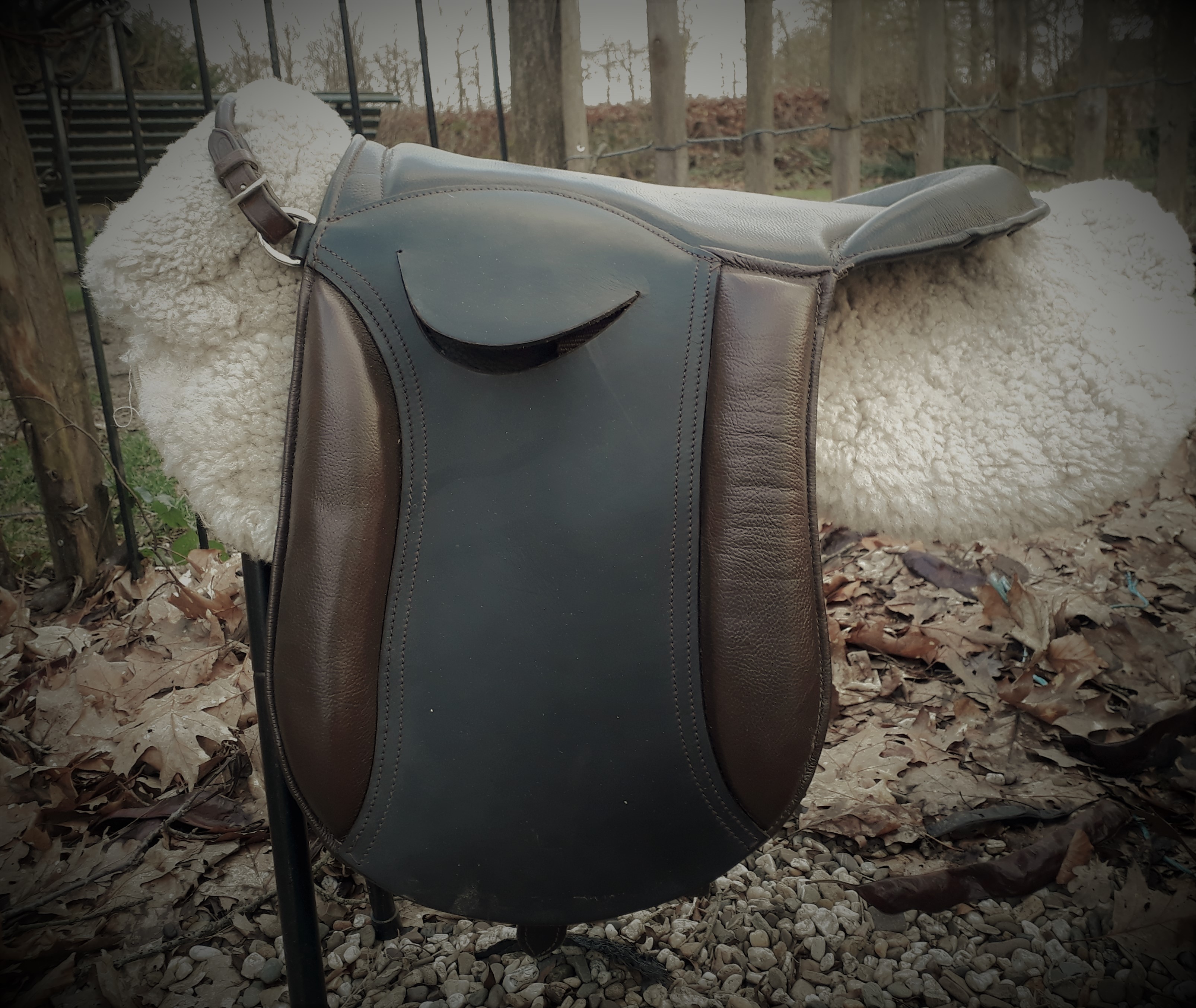 Welsh Show zadel Thorn Bokt.nl