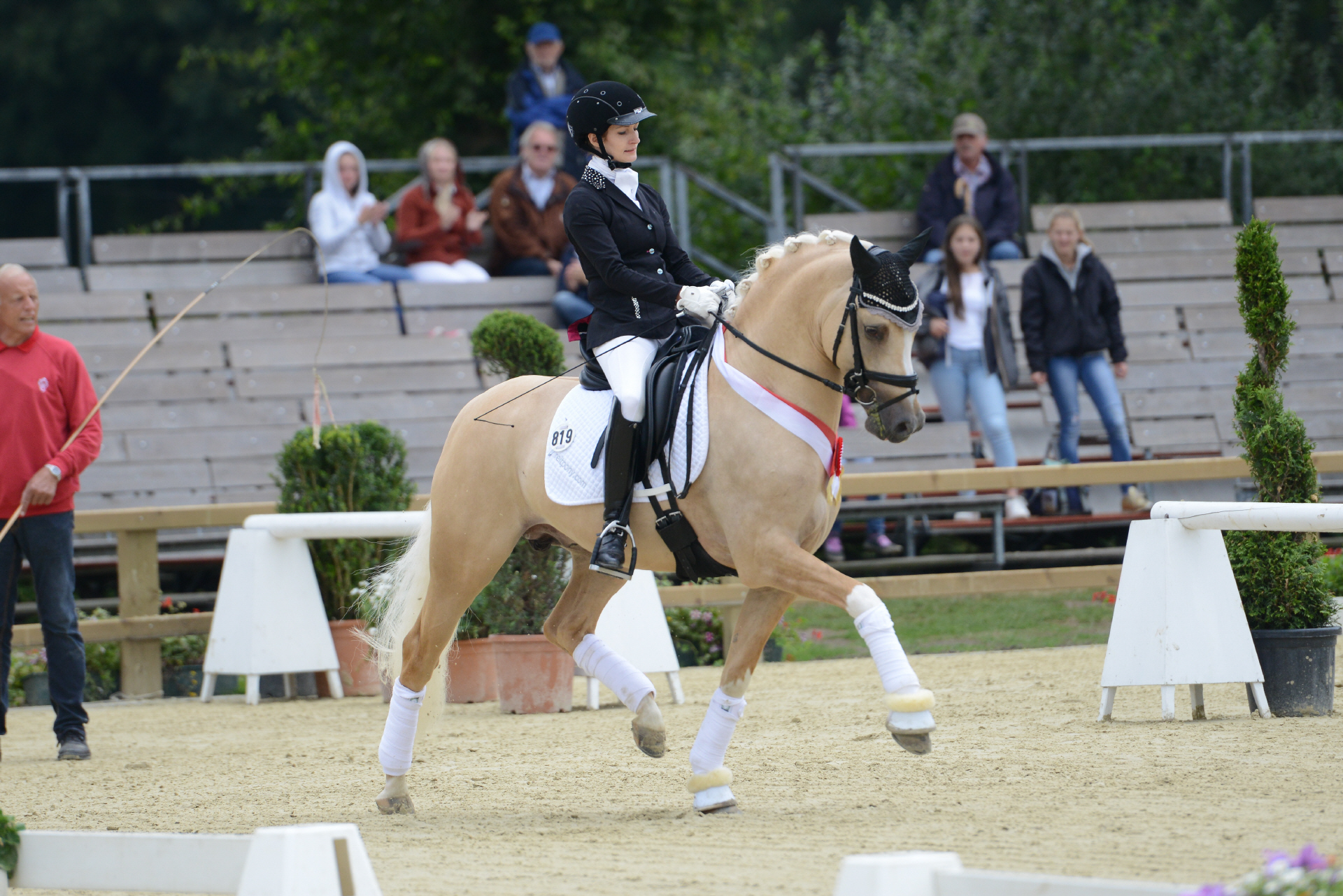 Райд пони. Немецкий Райд пони. German riding Pony. Райдинг пони порода. German riding Pony Auction.