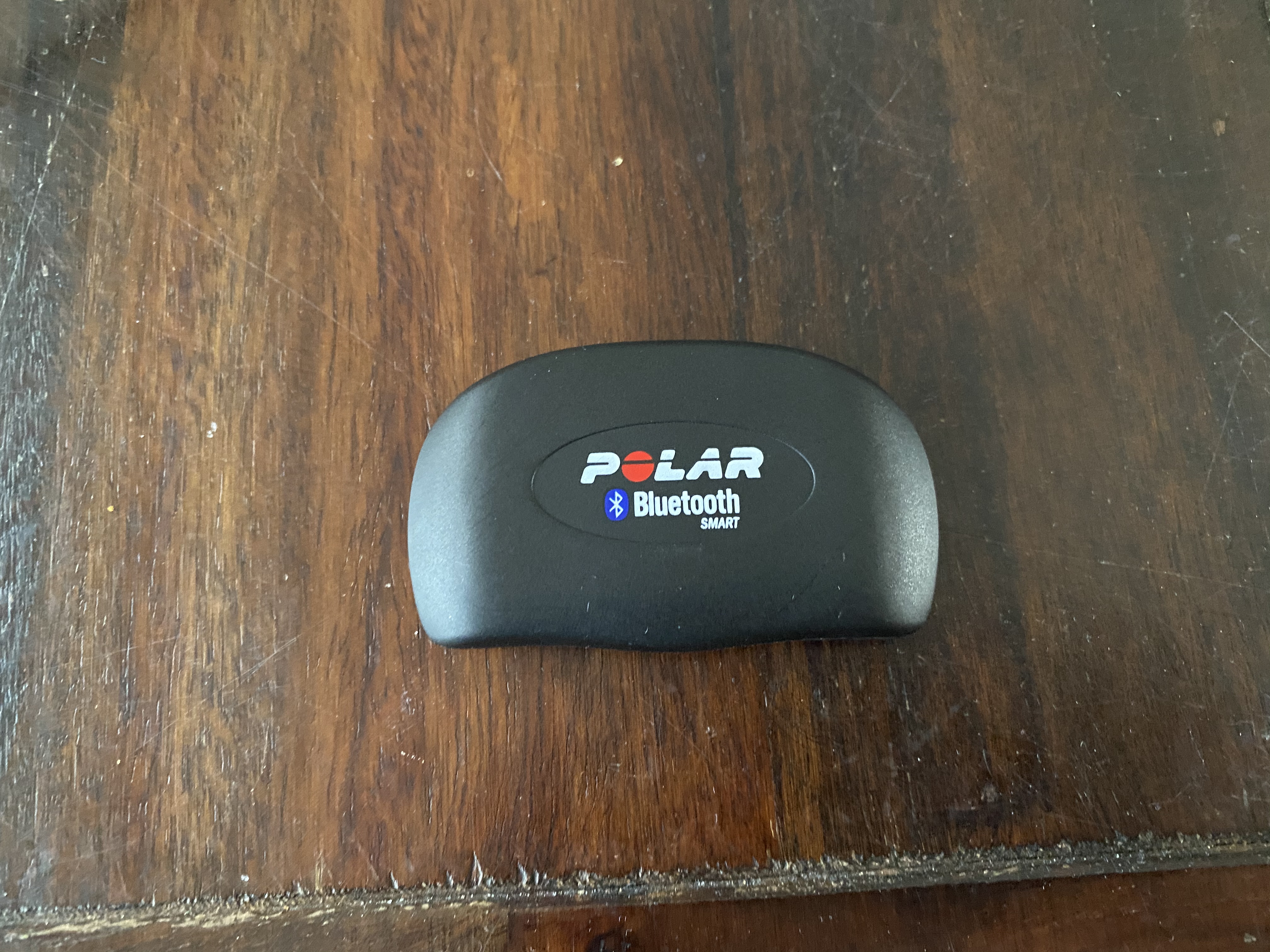 polar equine m400 trotting