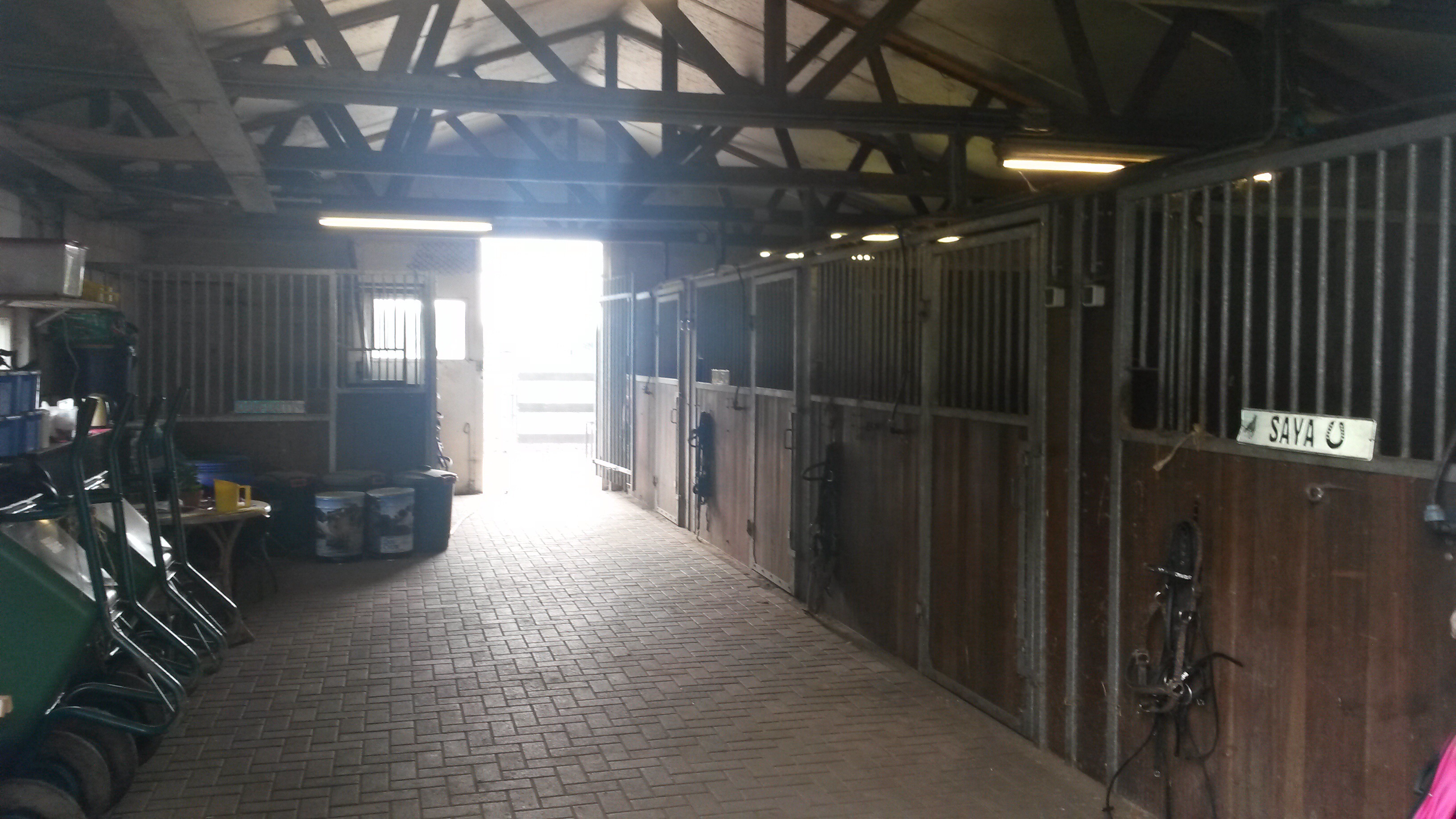 Privé stal Maasbree heeft per April 1 stal vrij! Bokt.nl