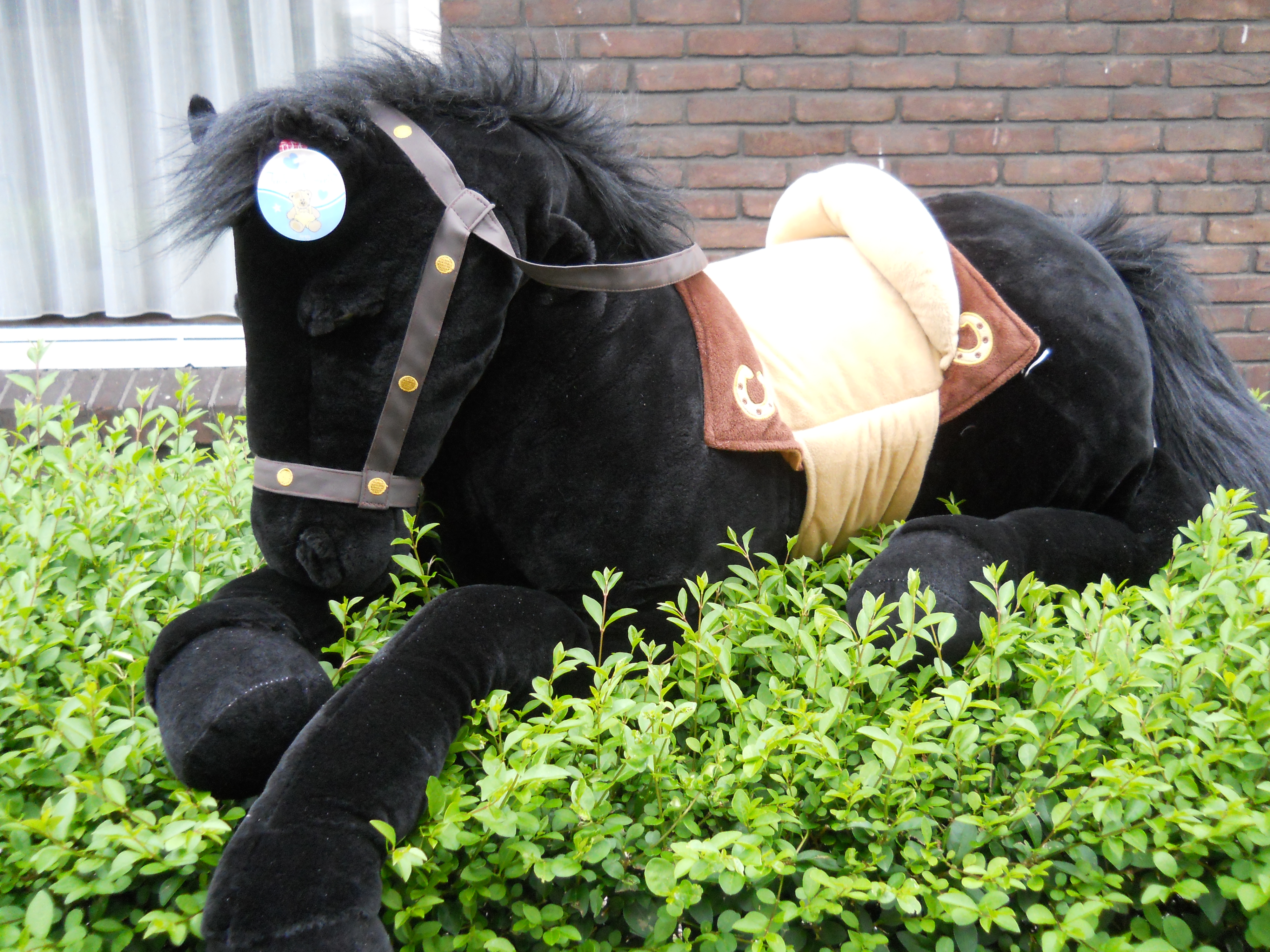 Corroderen Gemarkeerd Kinderpaleis Groot paarden knuffel!! | Bokt.nl