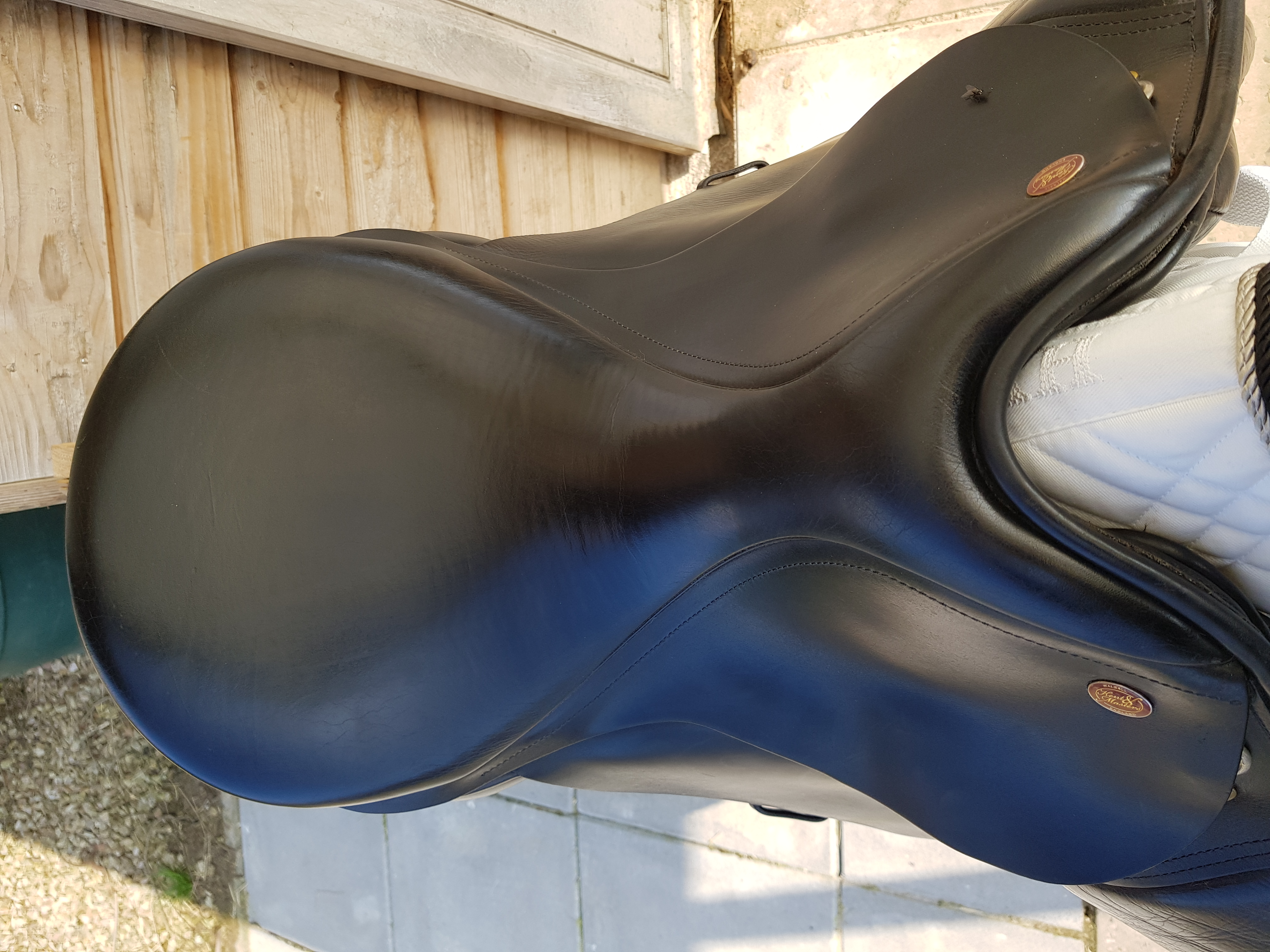 Kent & Masters Original Dressuur Zadel