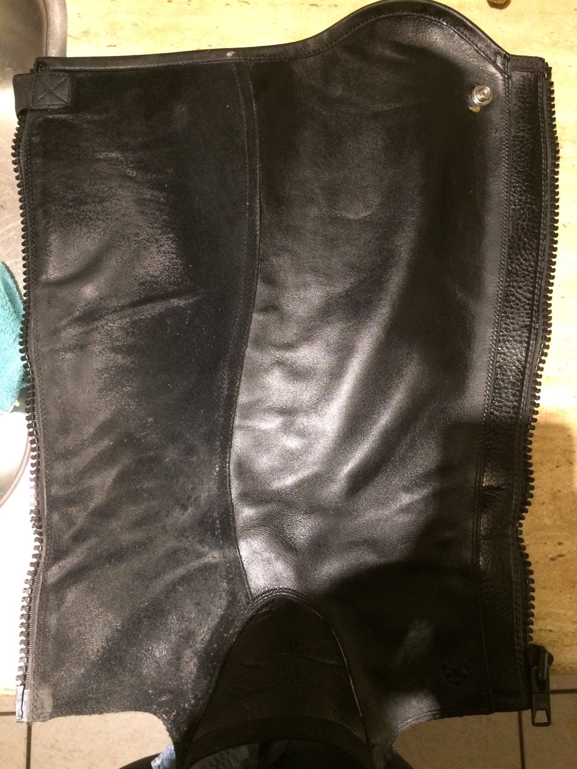 concord chaps