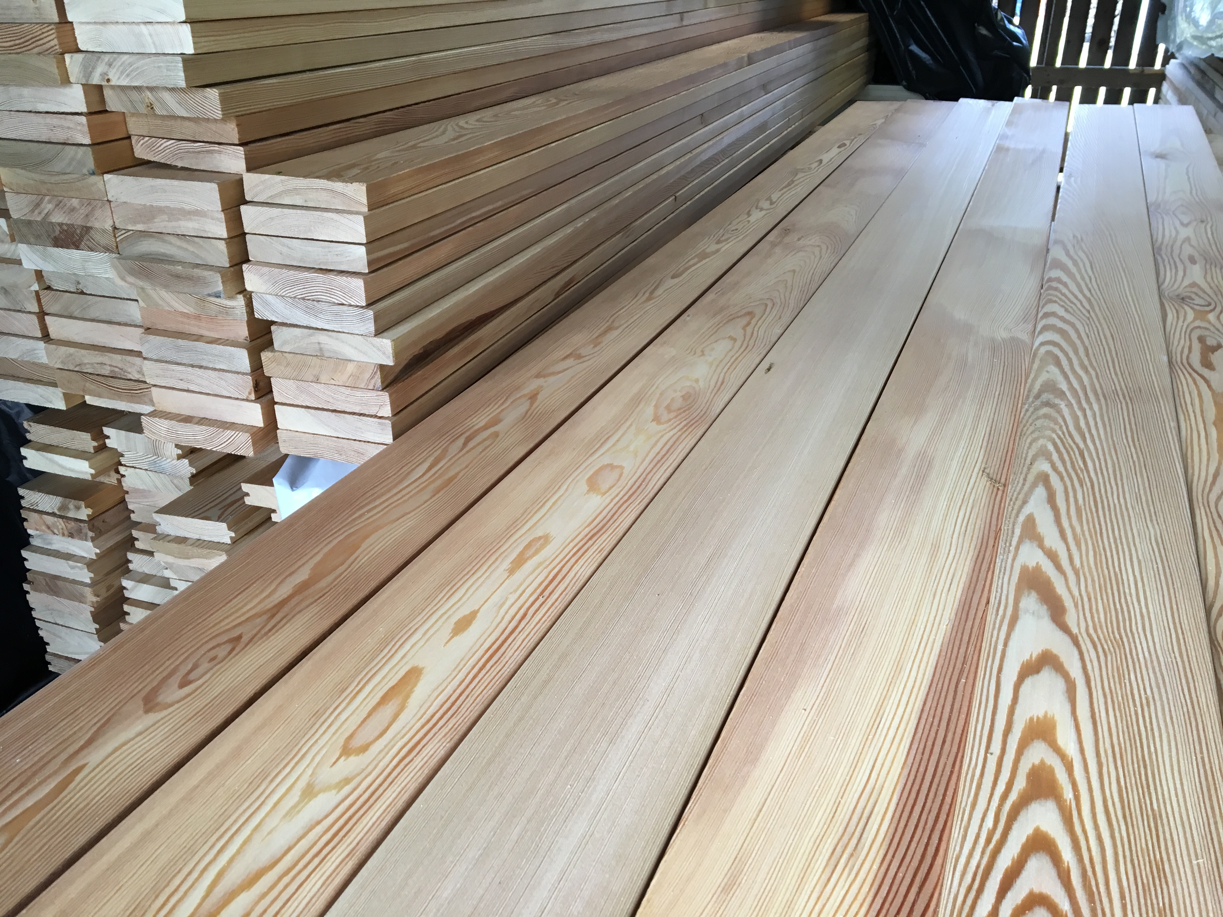 Fashion, Garden, Nail, Woman, Tattoo, News, Ideas, Tricks, Wallpapers