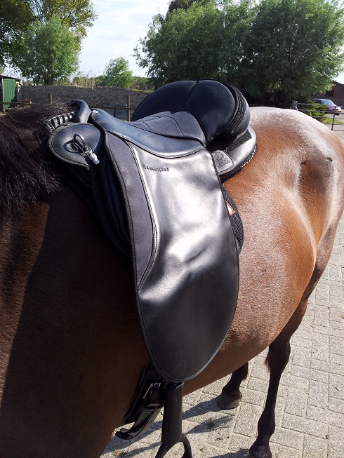 blauw boomloos zadel. 12 inch, ZGAN