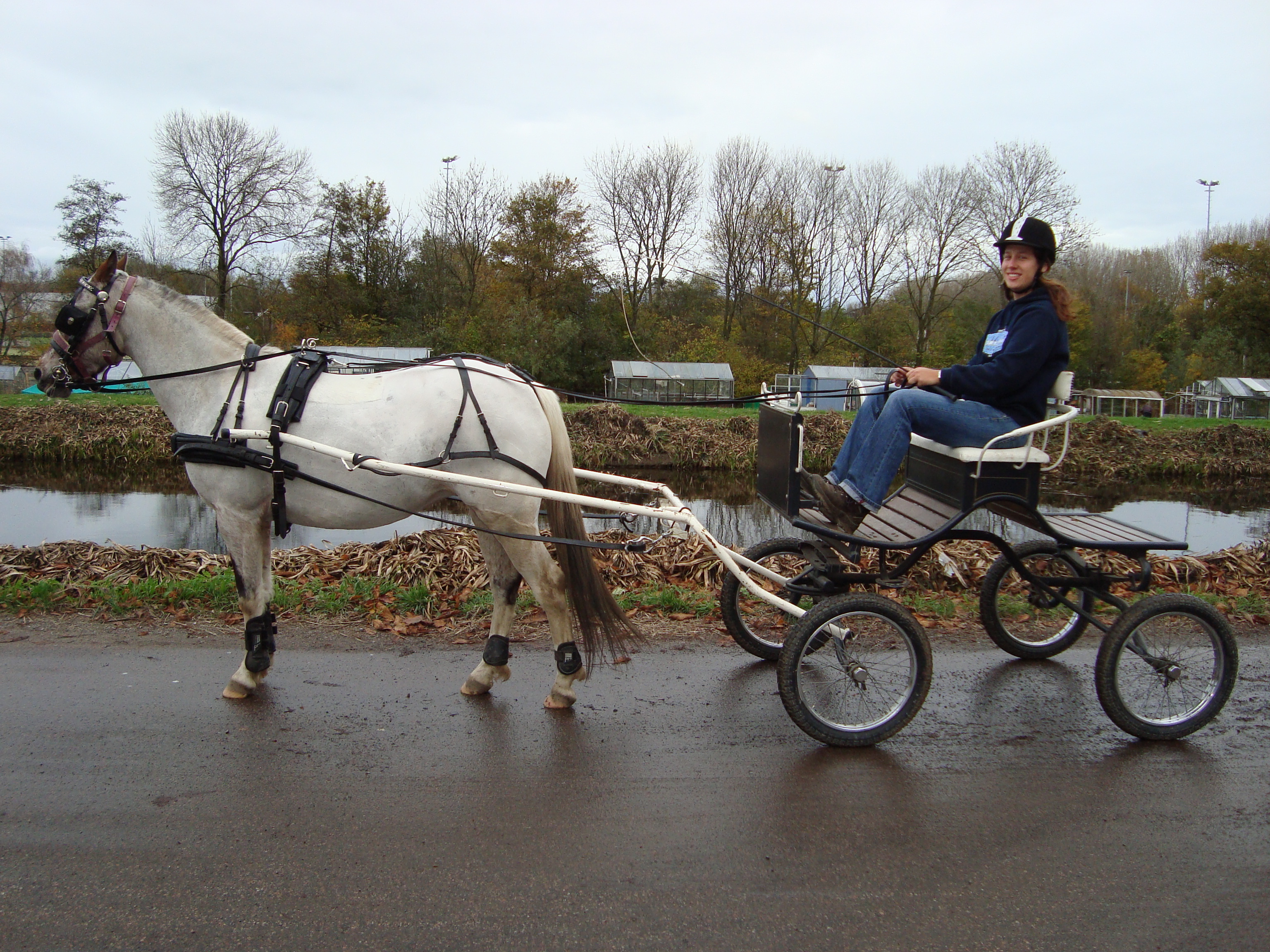 Hans van der Mee concourswagen maat pony Bokt.nl