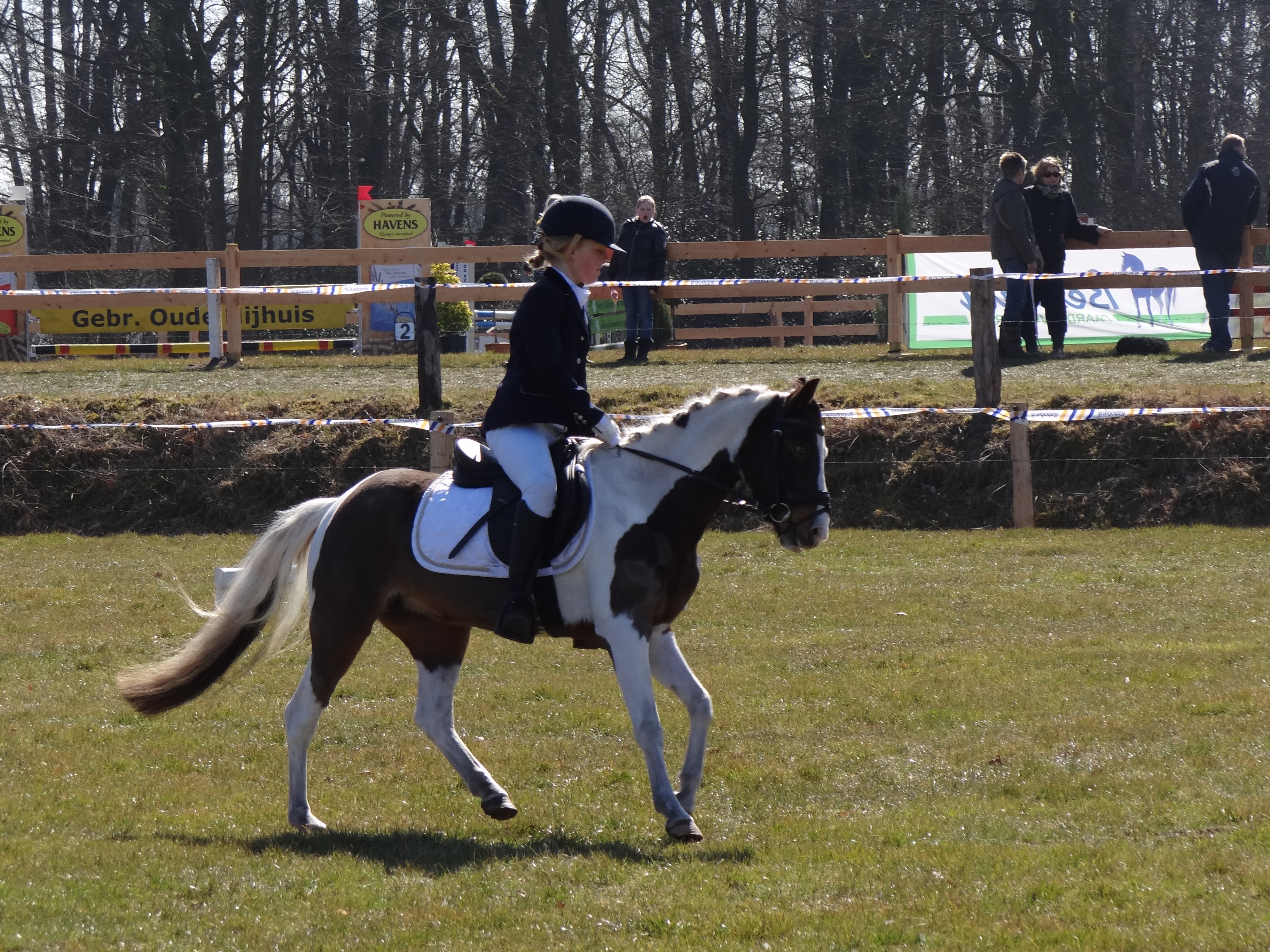 Lieve B Pony Inclusief Toebehoren! | Bokt.nl