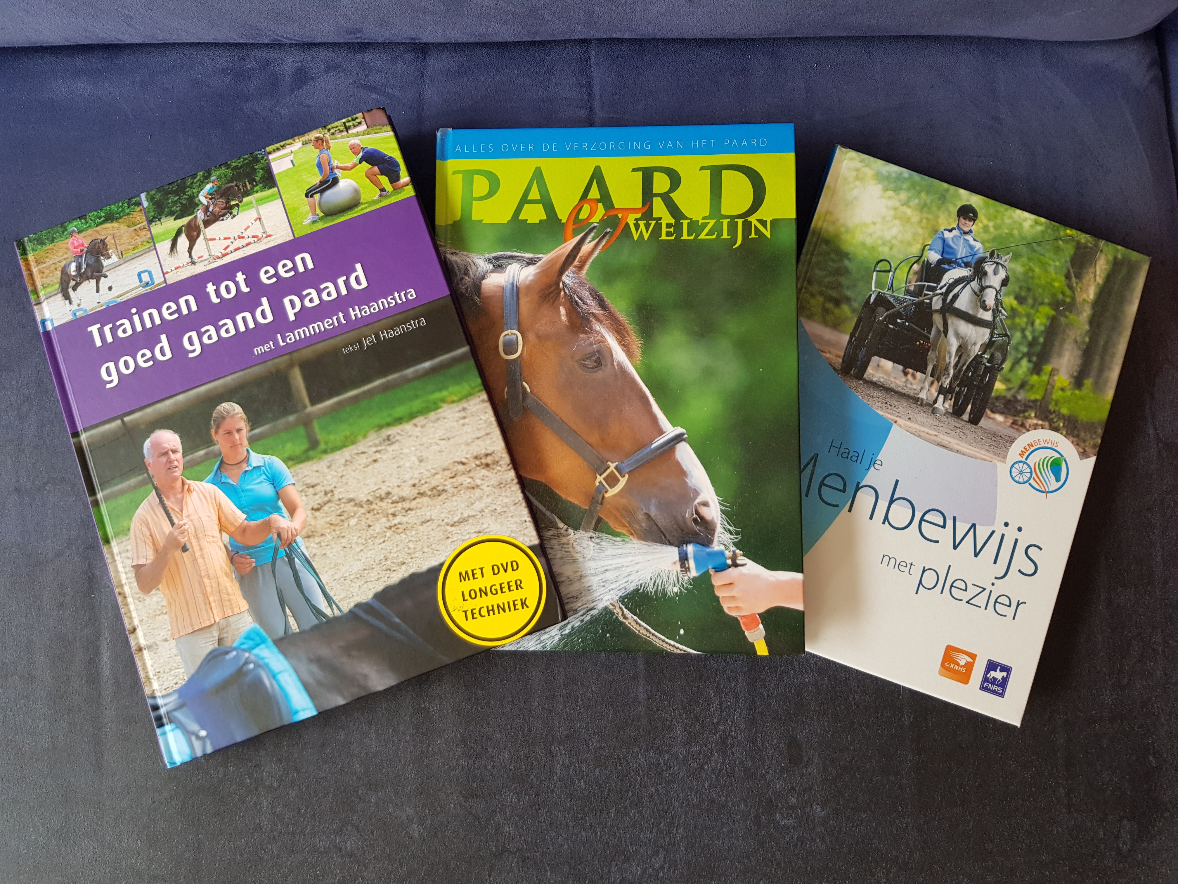 Abnormaal Onvervangbaar lezing Diverse boeken paarden opleiding | Bokt.nl