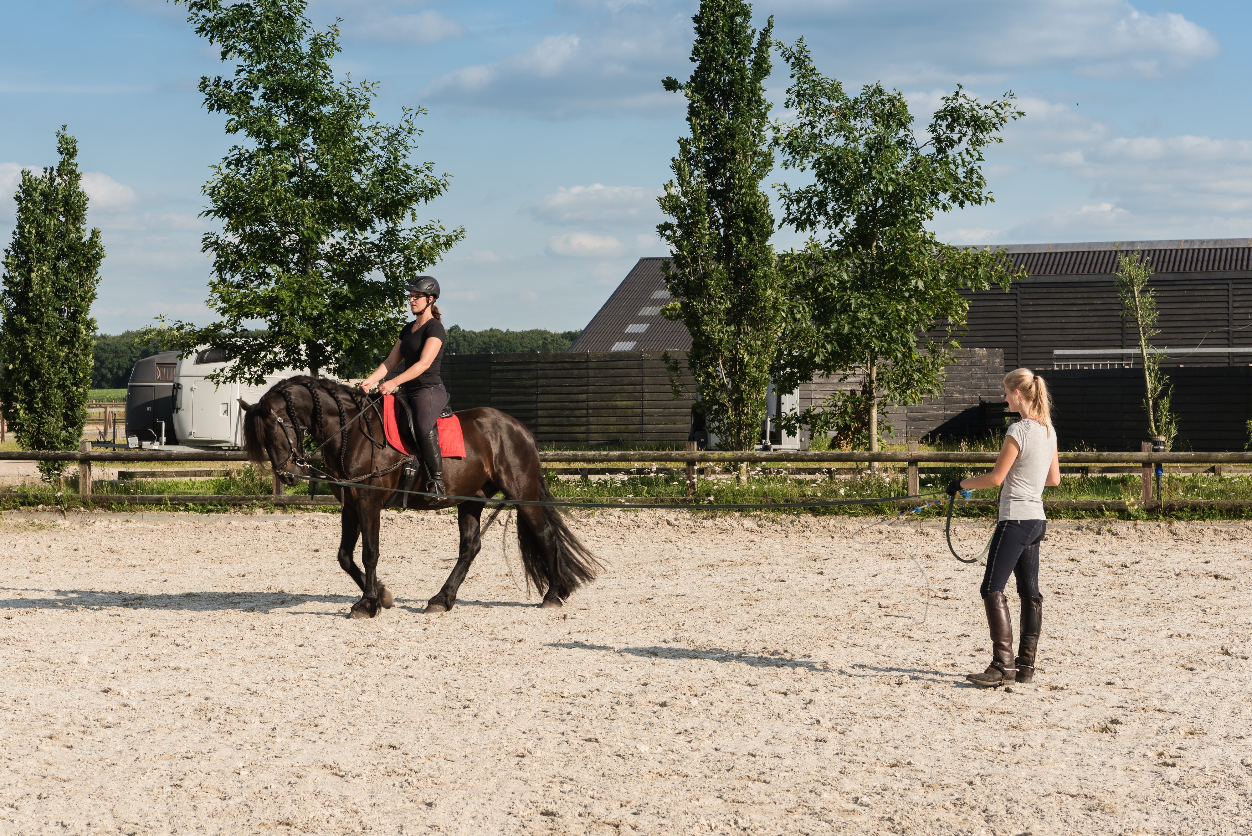 Training En Instructie Met Aandacht Voor Paard En Ruiter | Bokt.nl