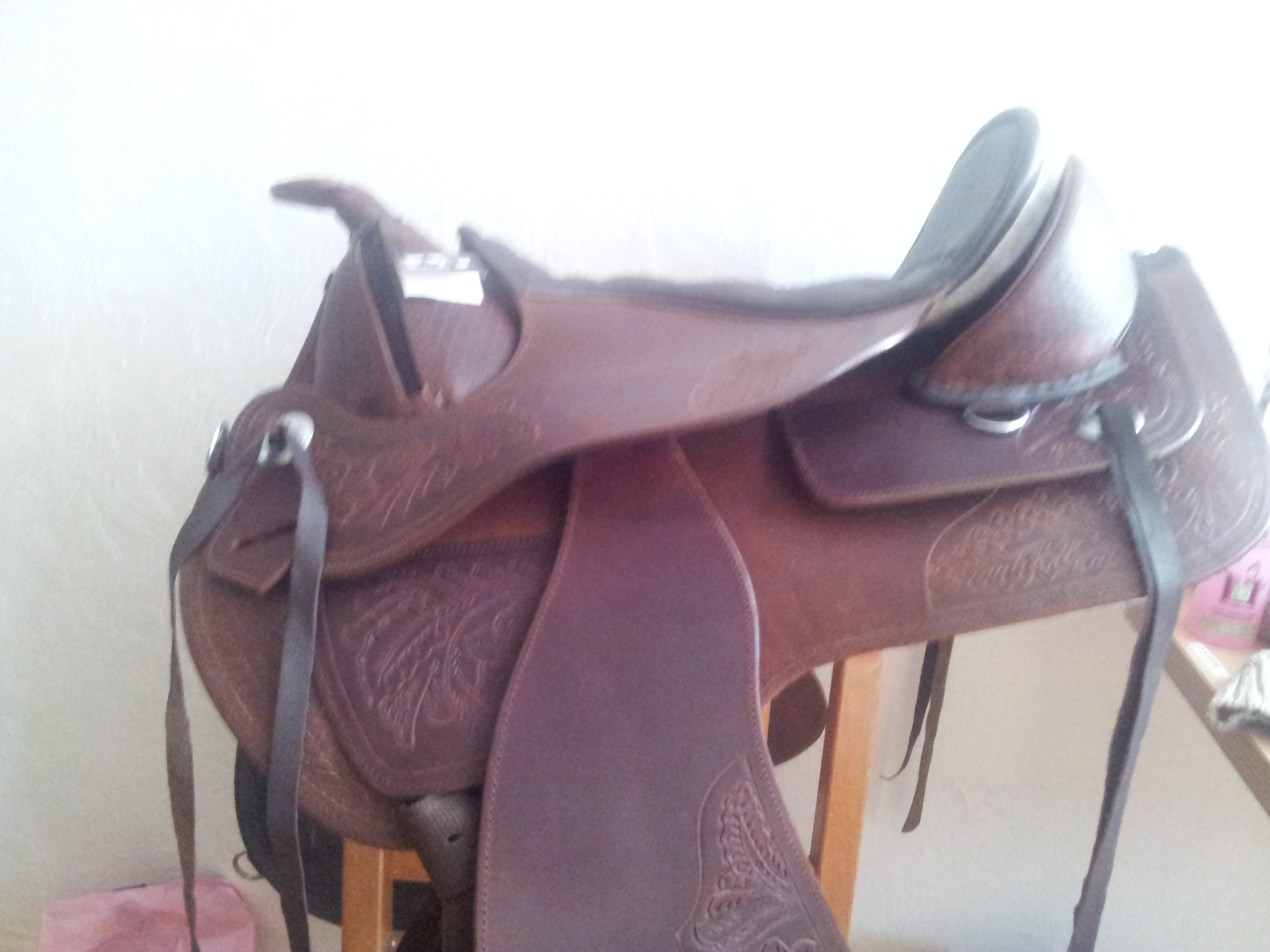 Boomloos zadel - Paarden-encyclopedie