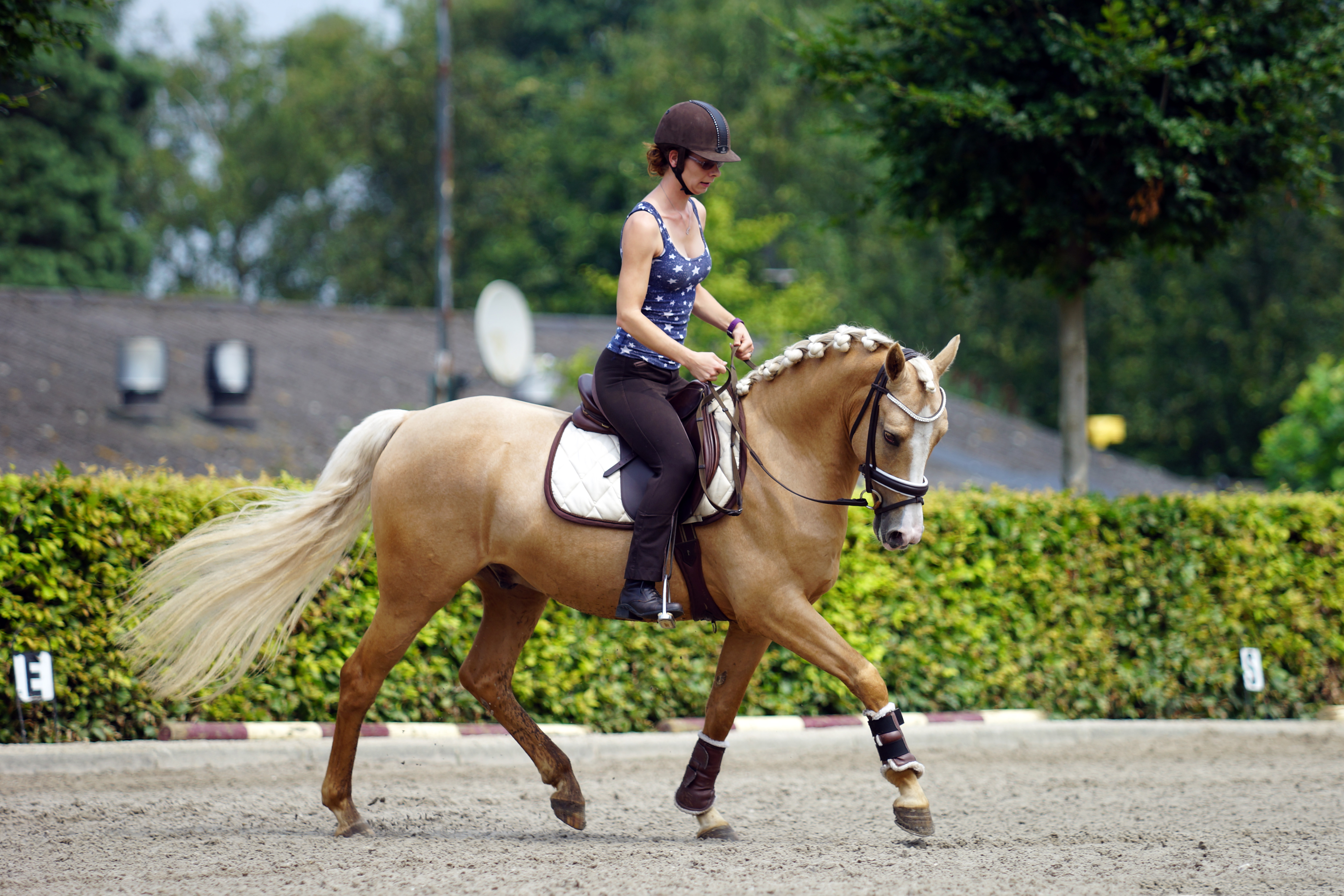 Factureerbaar Grillig veiling 5 jarige Palomino E pony te koop aangeboden | Bokt.nl
