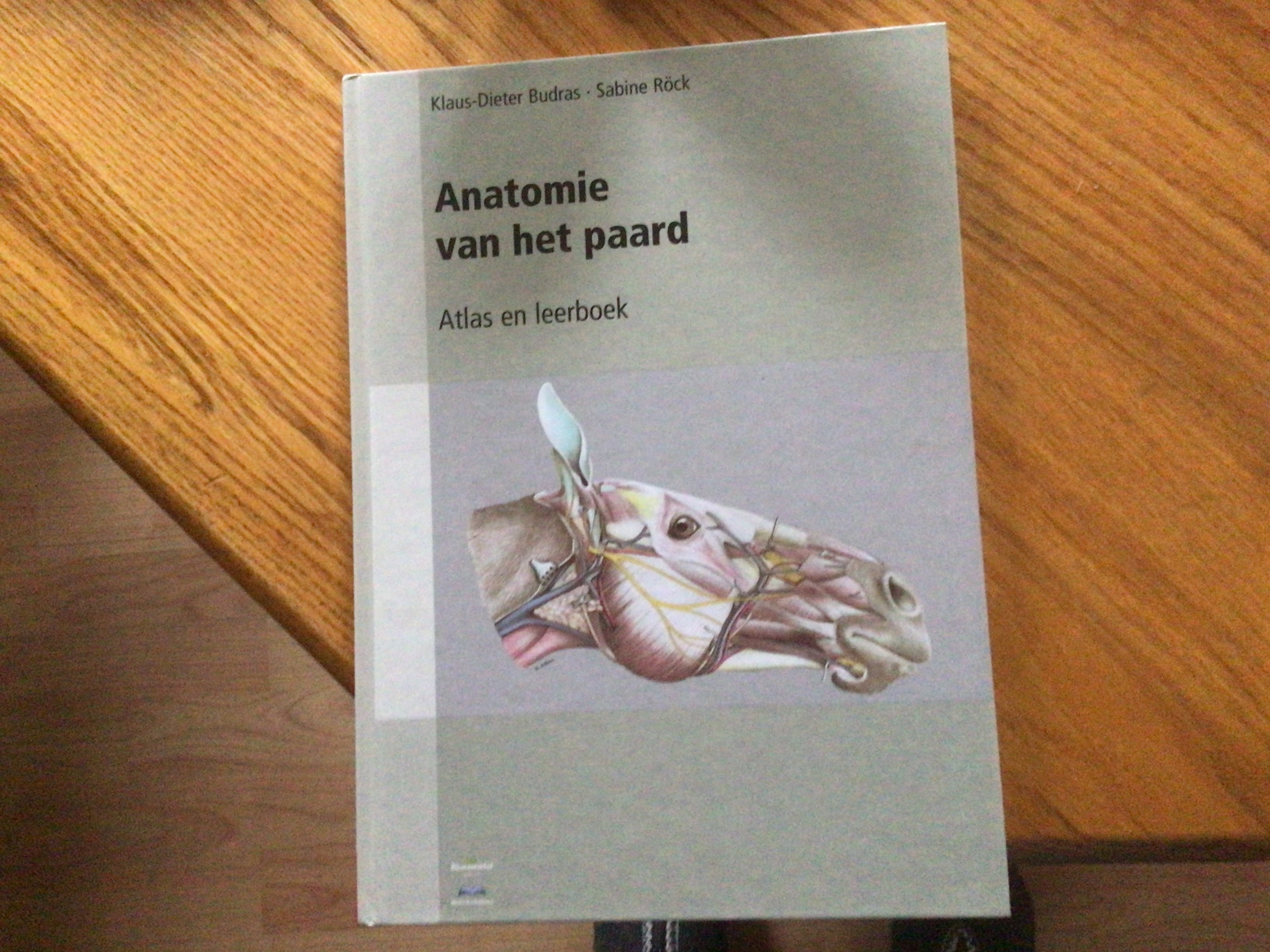 Anatomie van het paard, antwoorden boek hoefbevangenheid | Bokt.nl