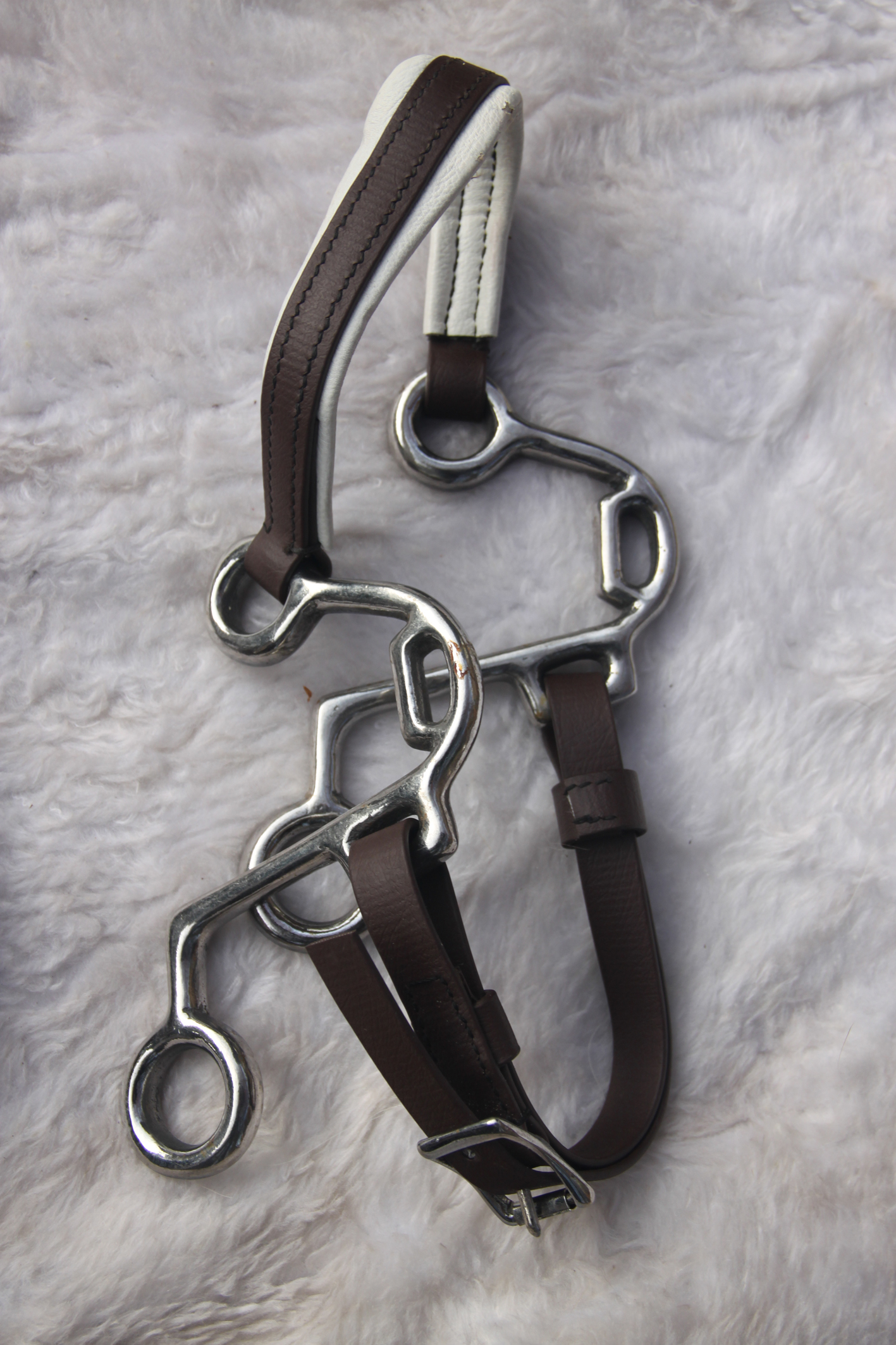 S Hackamore Boktnl